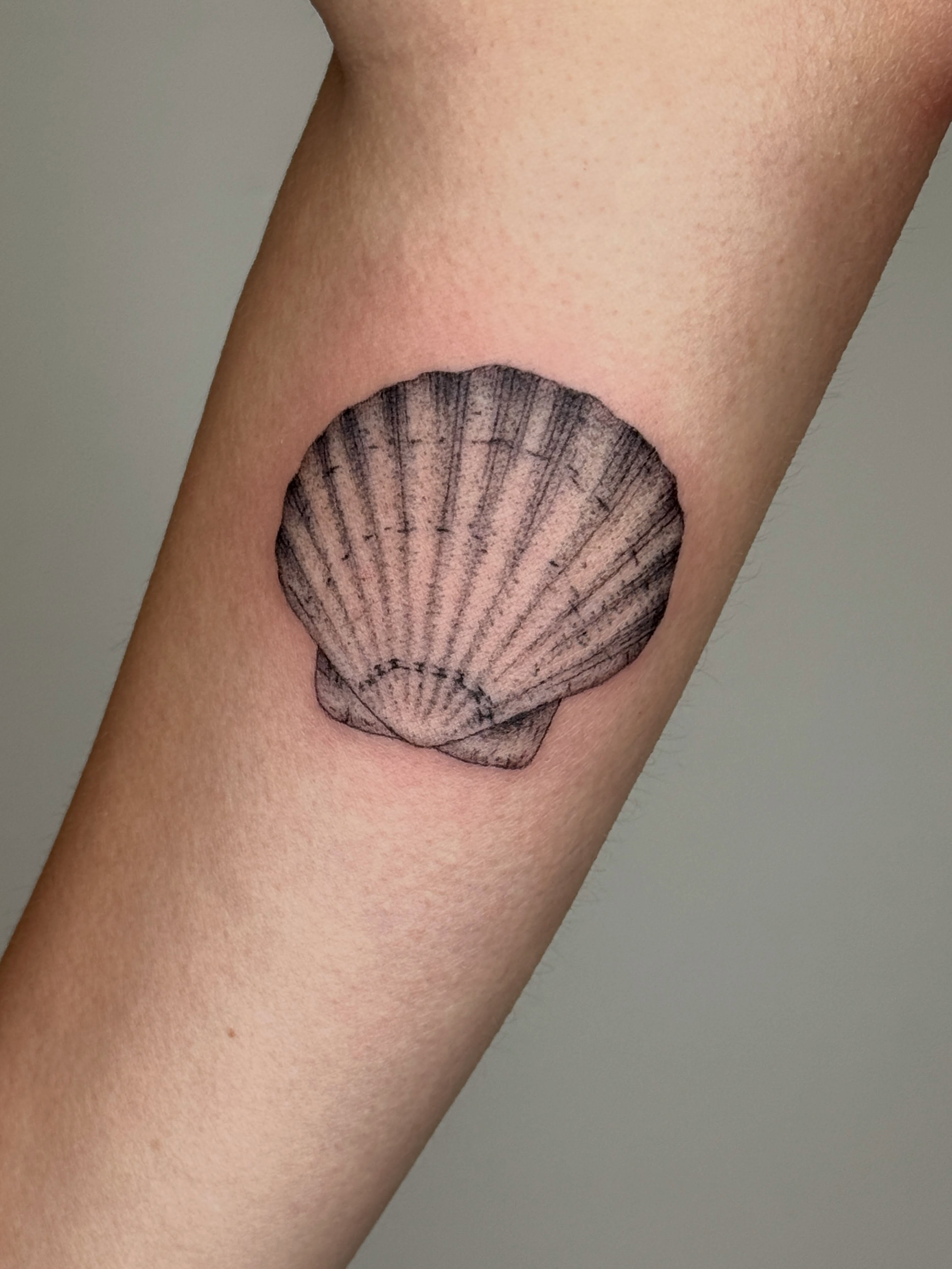 Shell black and grey tattoo on the forearm by Monica Reynolds