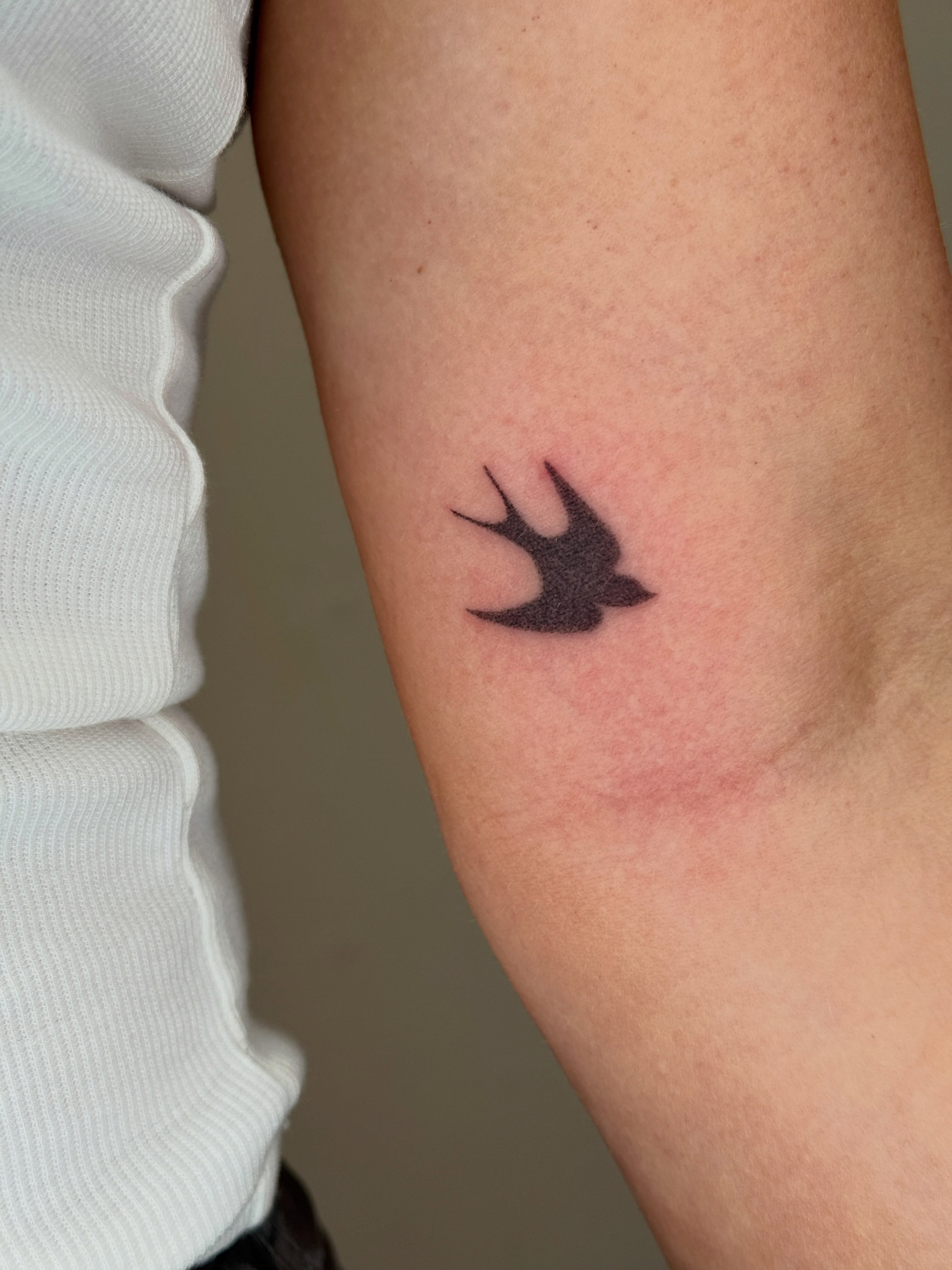Swallow minimalist tattoo on the forearm by Monica Reynolds