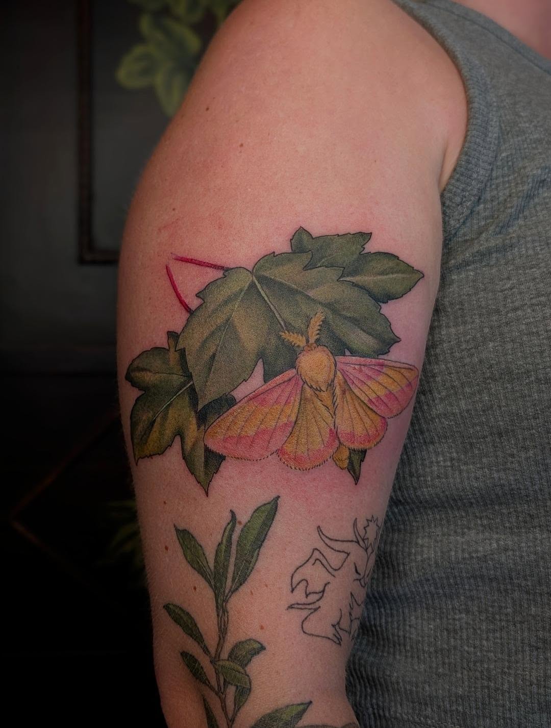 Moth and leaves realism tattoo on the forearm by Jeanine, Providence, Rhode Island