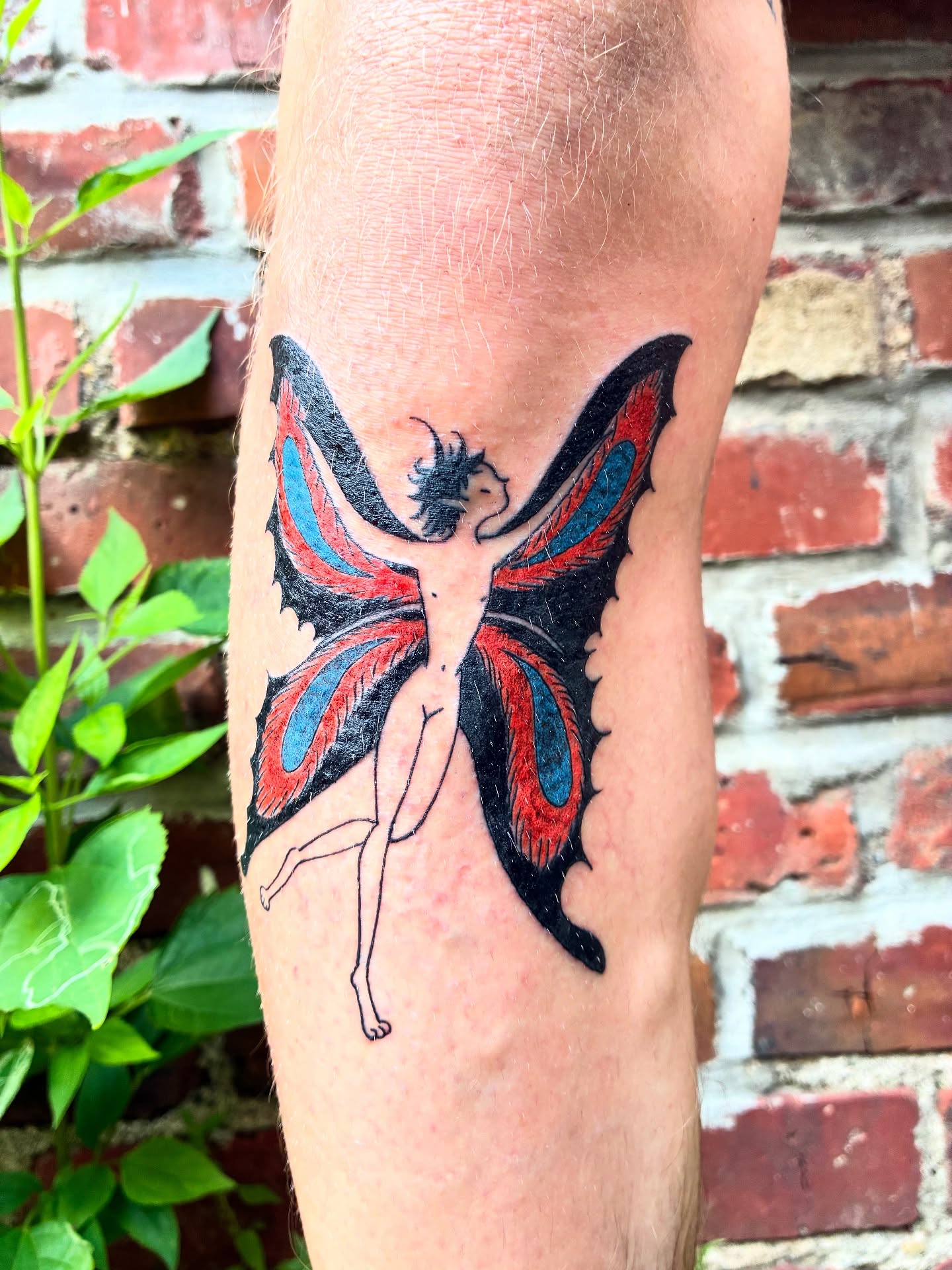 Fairy illustrative tattoo on the forearm by Steph Liebetreu
