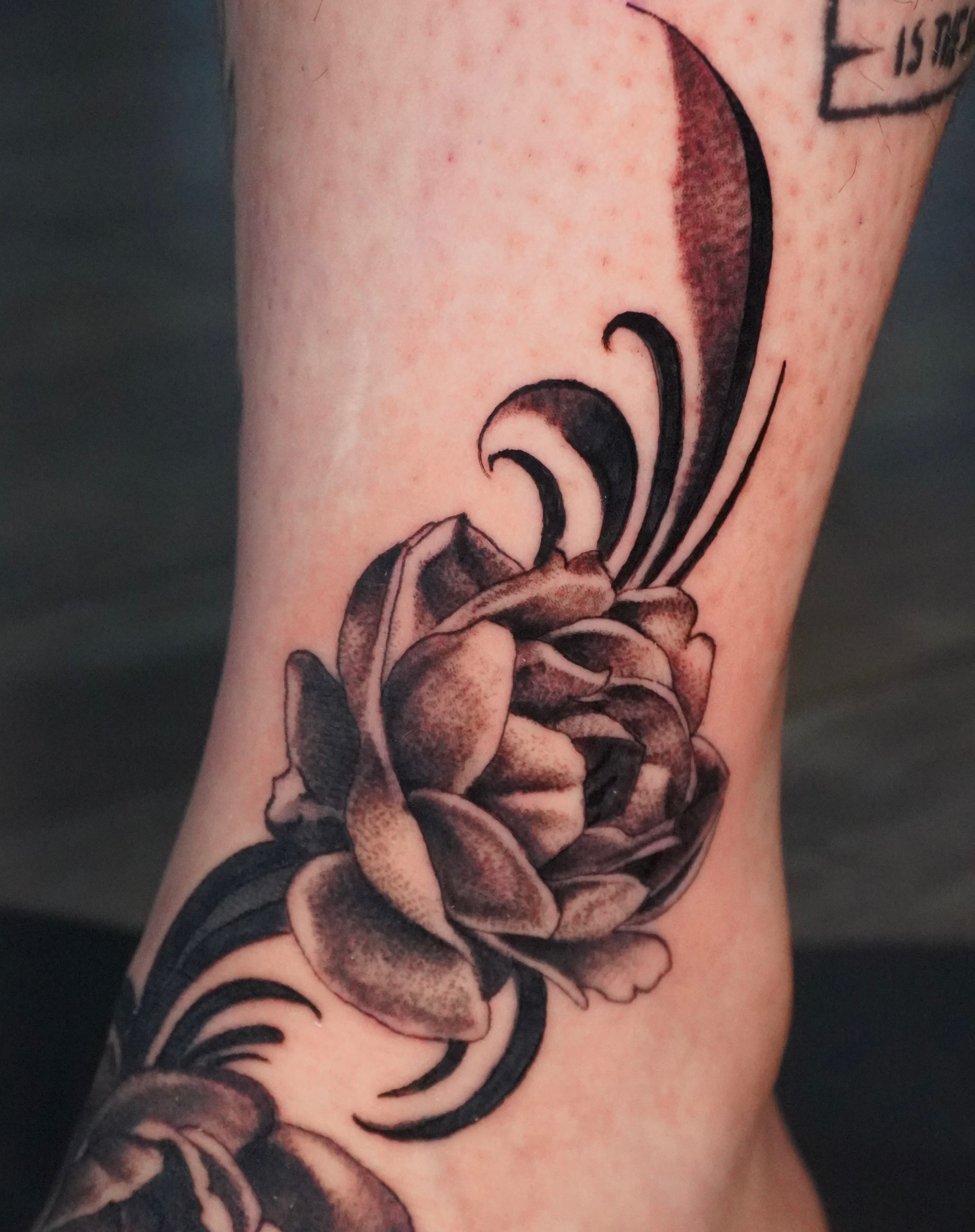 Rose black and grey tattoo on the forearm by hallow ☣︎ tattoo artist, Philadelphia, Pennsylvania
