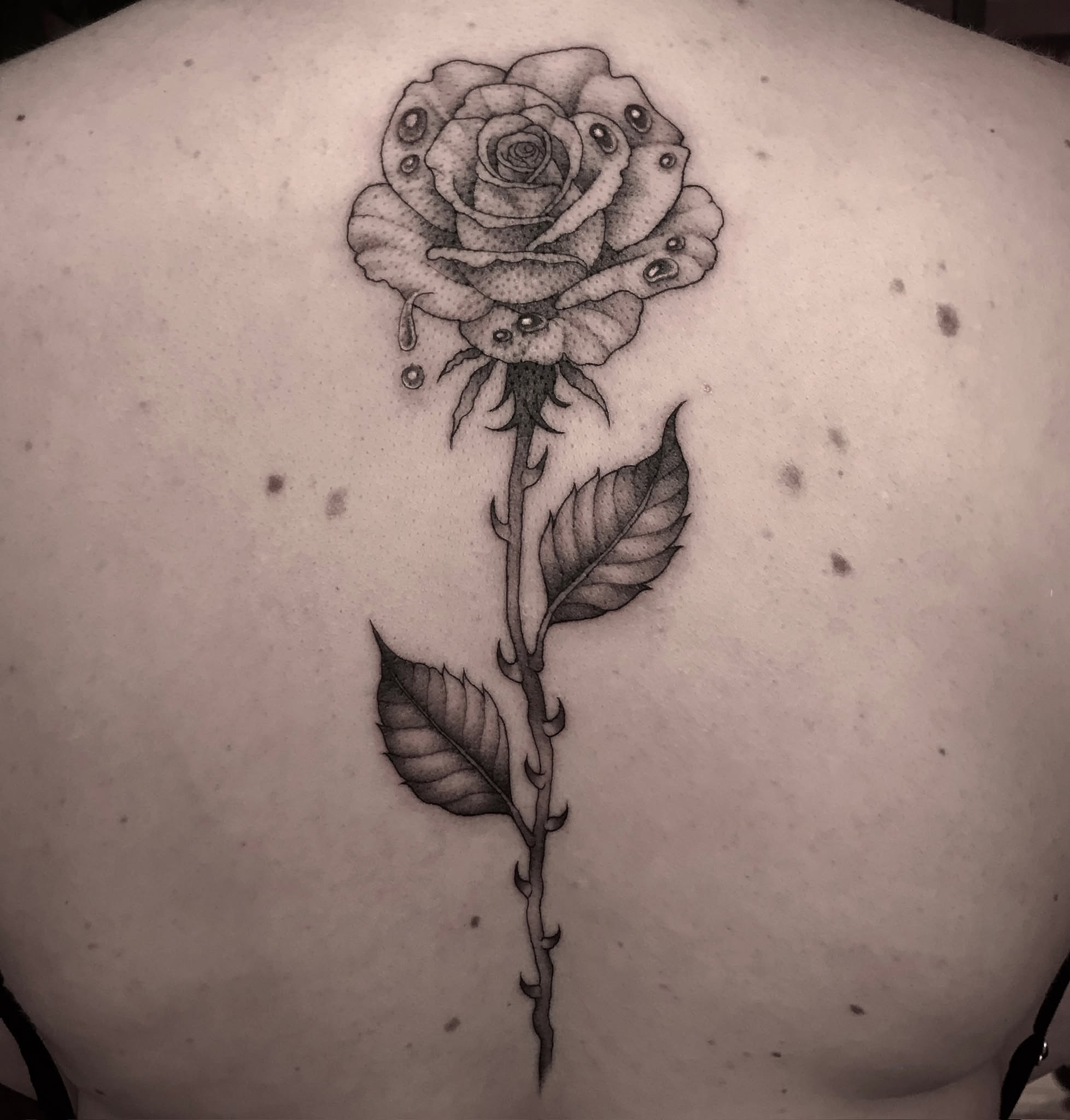 Tattoo by @raineydaytattoos — black_and_grey, dotwork