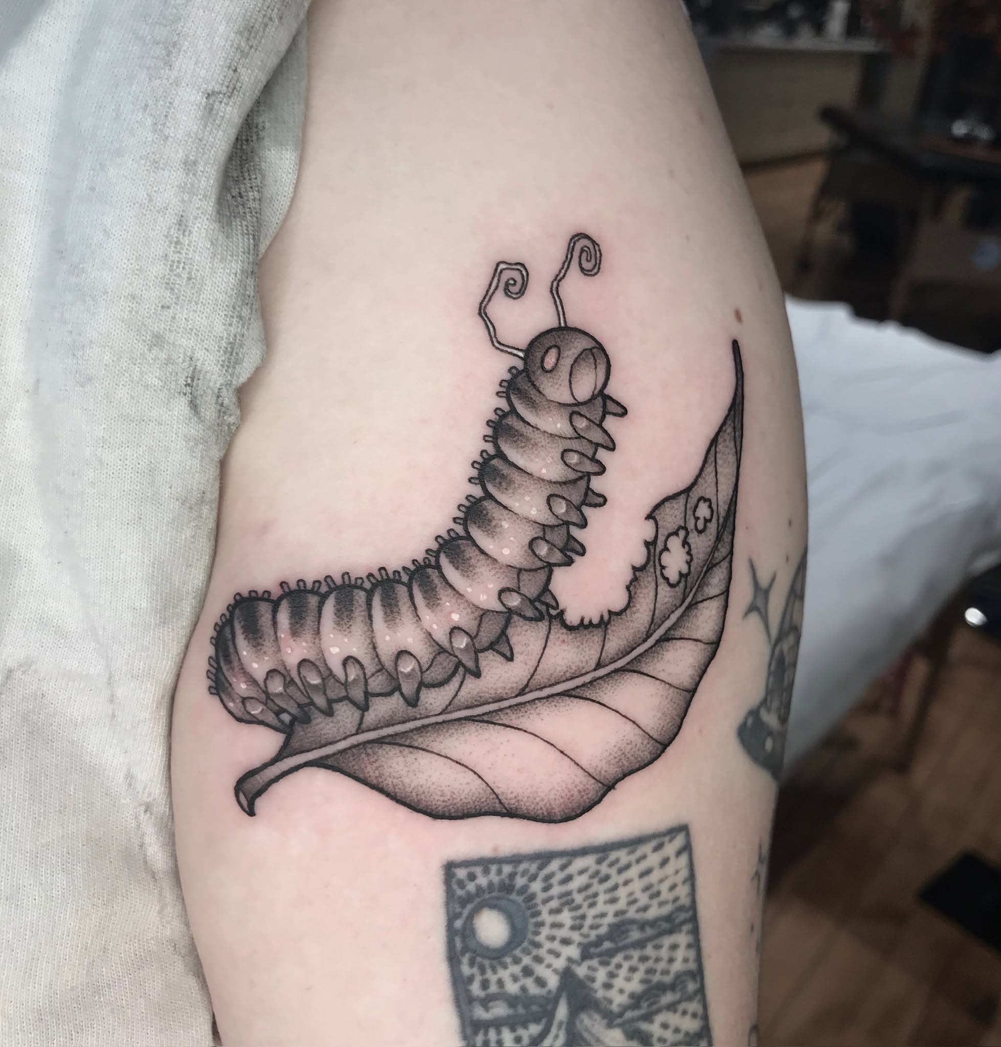 Tattoo by @raineydaytattoos — dotwork, black_and_grey