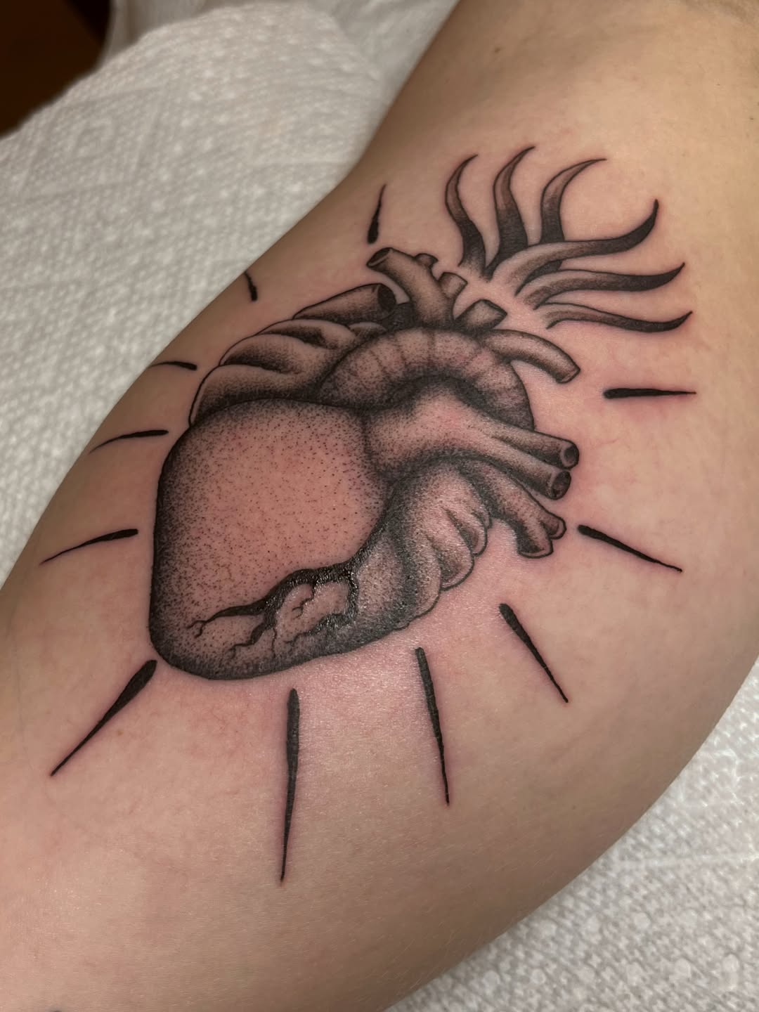 Tattoo by @goatnap — black_and_grey, dotwork