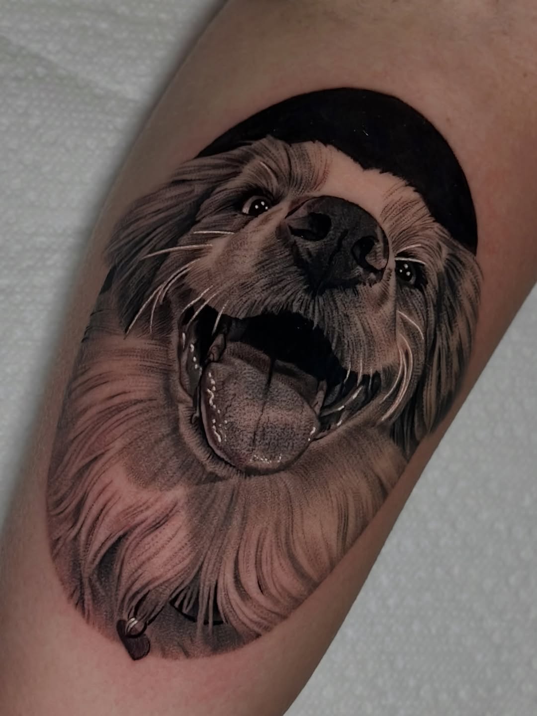 Tattoo by @katiektattoos — realism, black_and_grey