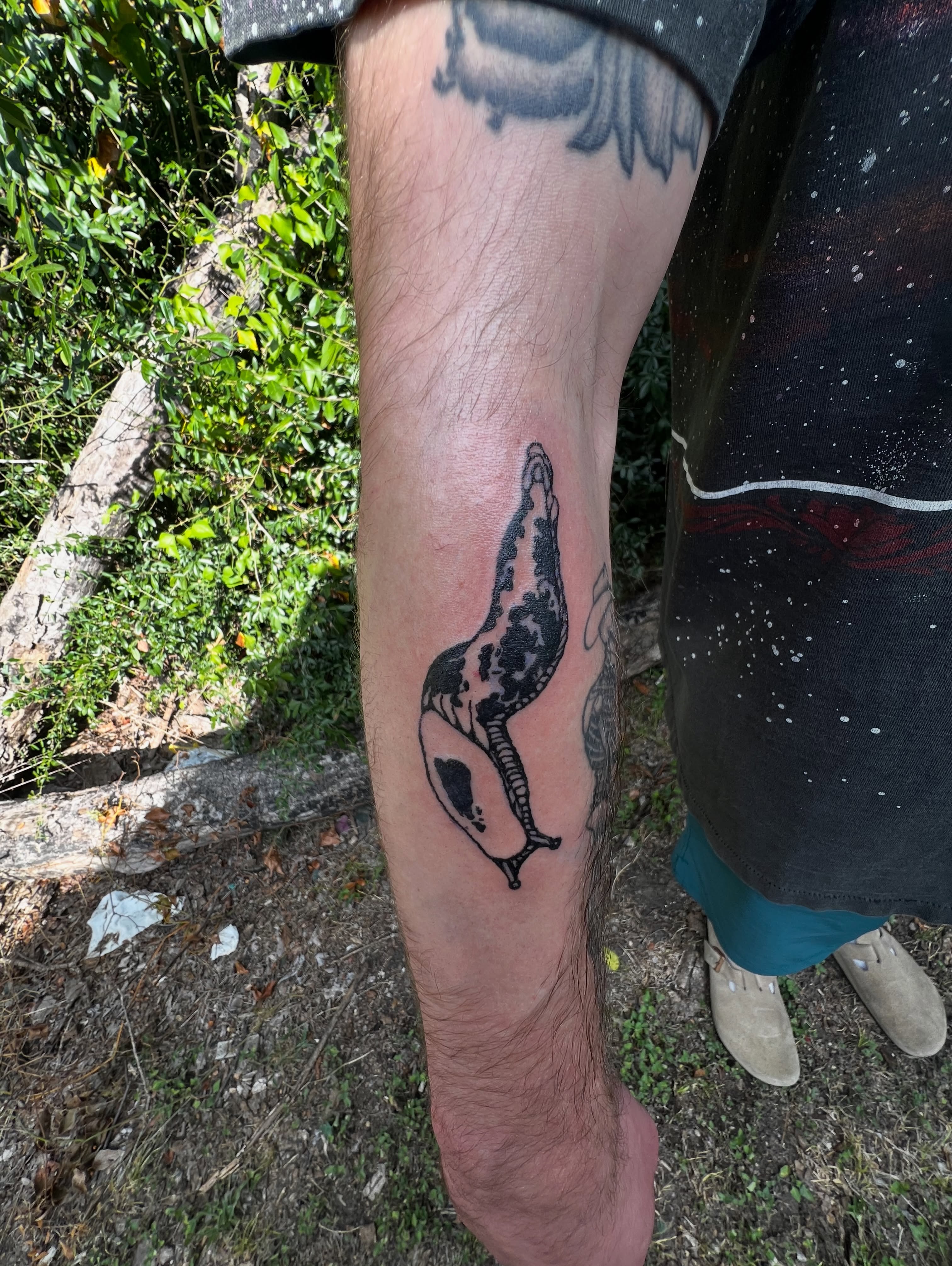 Tattoo by @bagolylines — black_and_grey