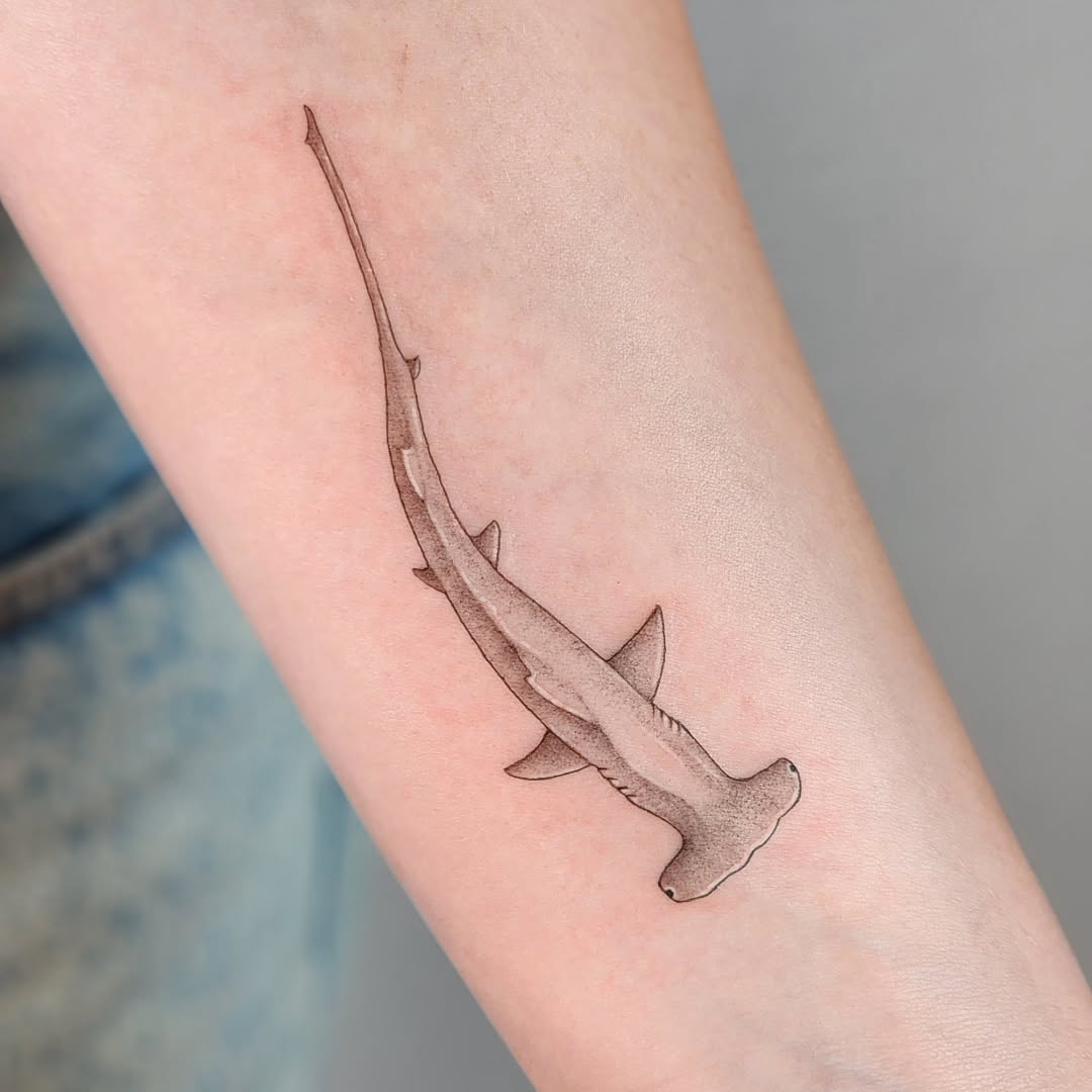 Hammerhead shark fine line tattoo on the forearm by Tattoo artist - Luciana Dsilva, San Francisco, California