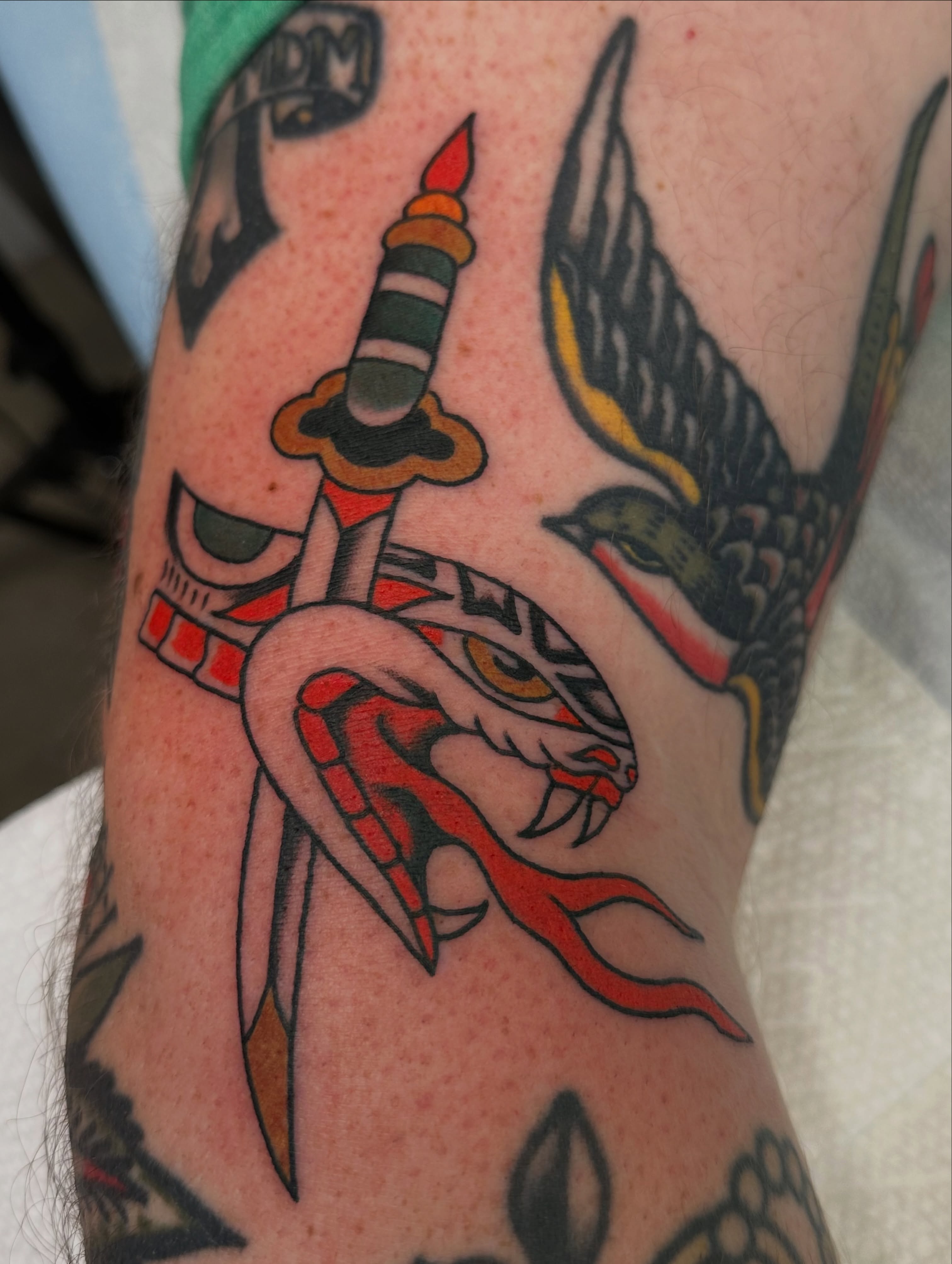 Snake and sword American traditional tattoo on the forearm by A.j. Lingerfeldt, Nashville, Tennessee