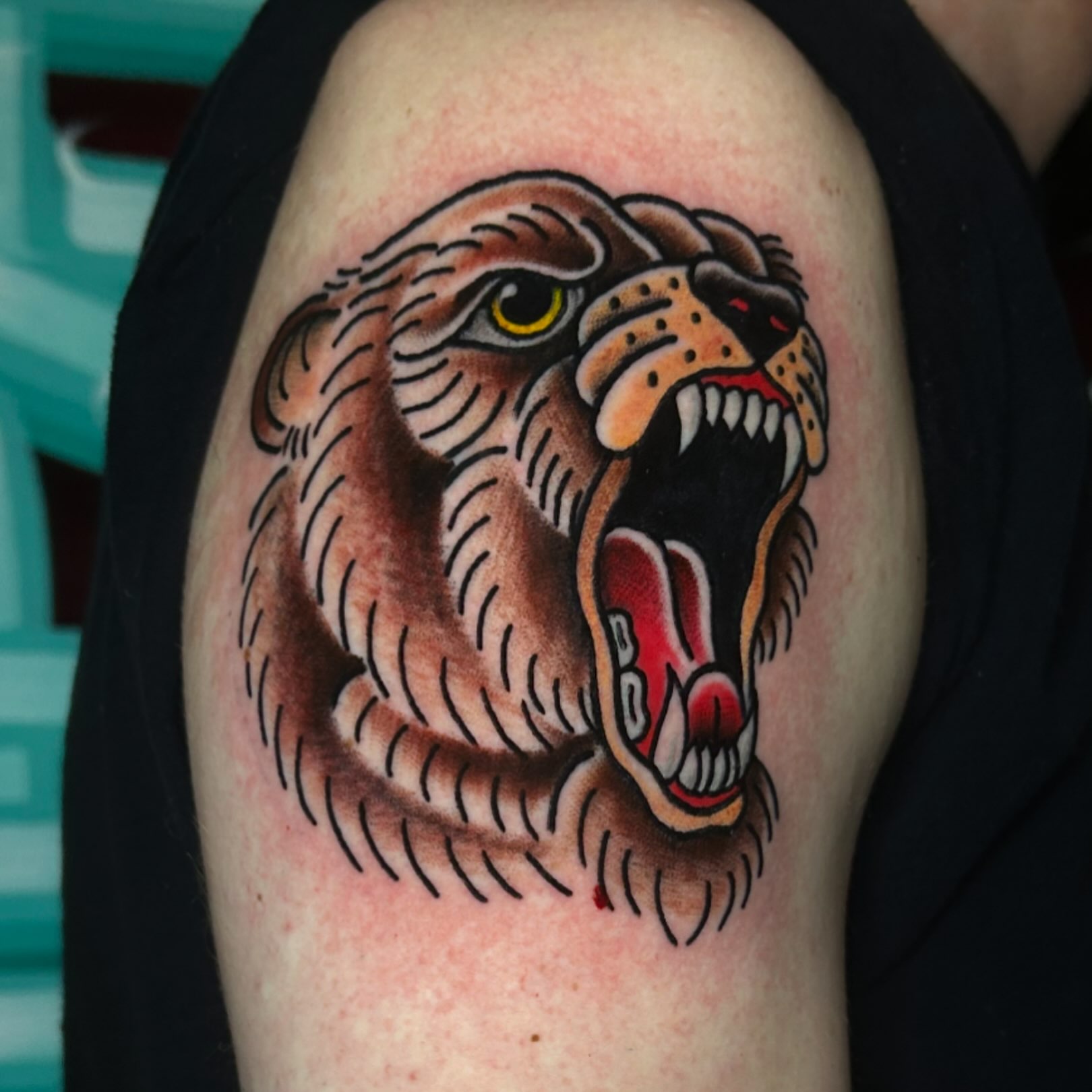 Roaring panther American traditional tattoo on the shoulder by Alycia