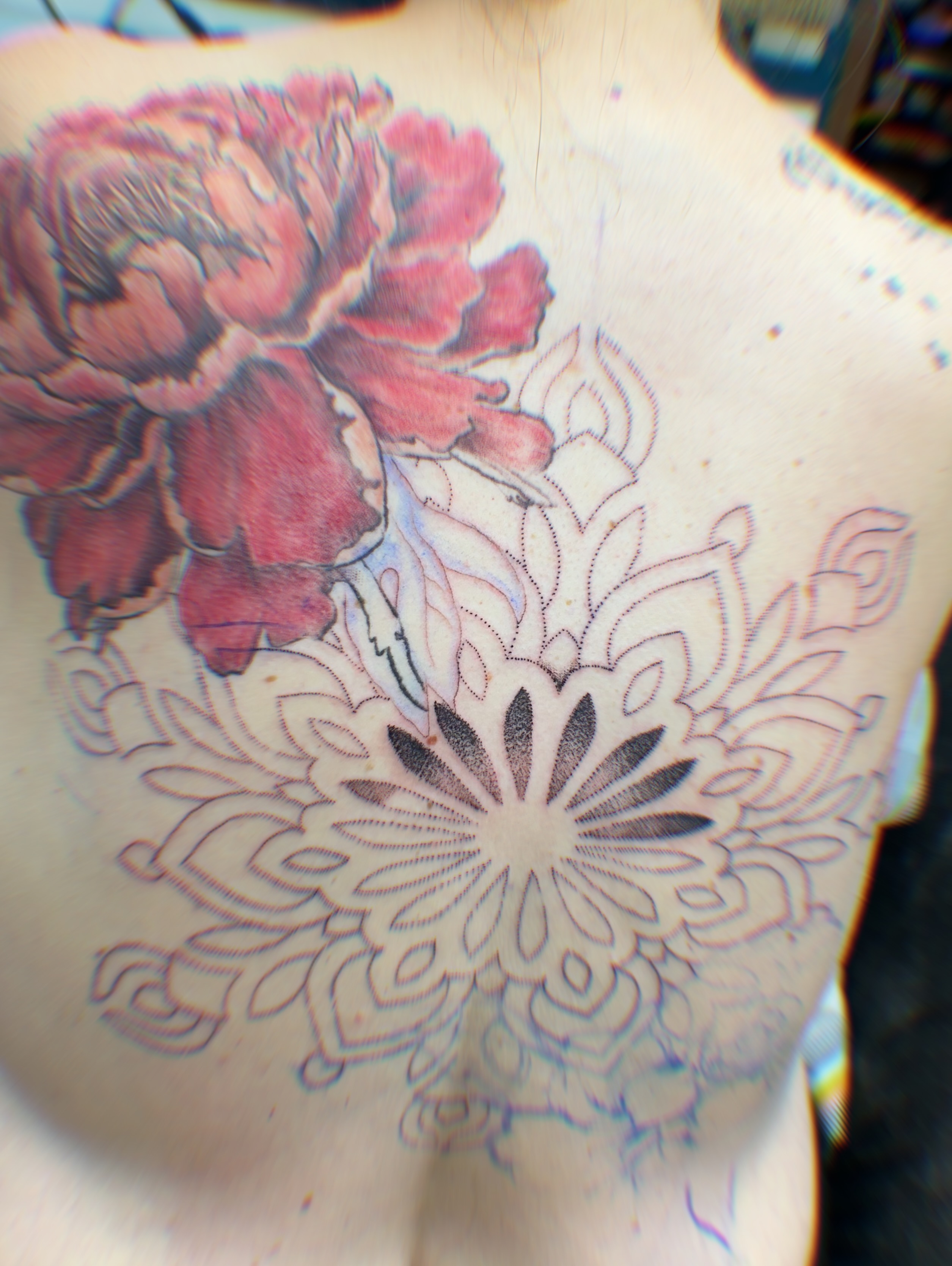 Tattoo by @suzentattoozen — dotwork, geometric