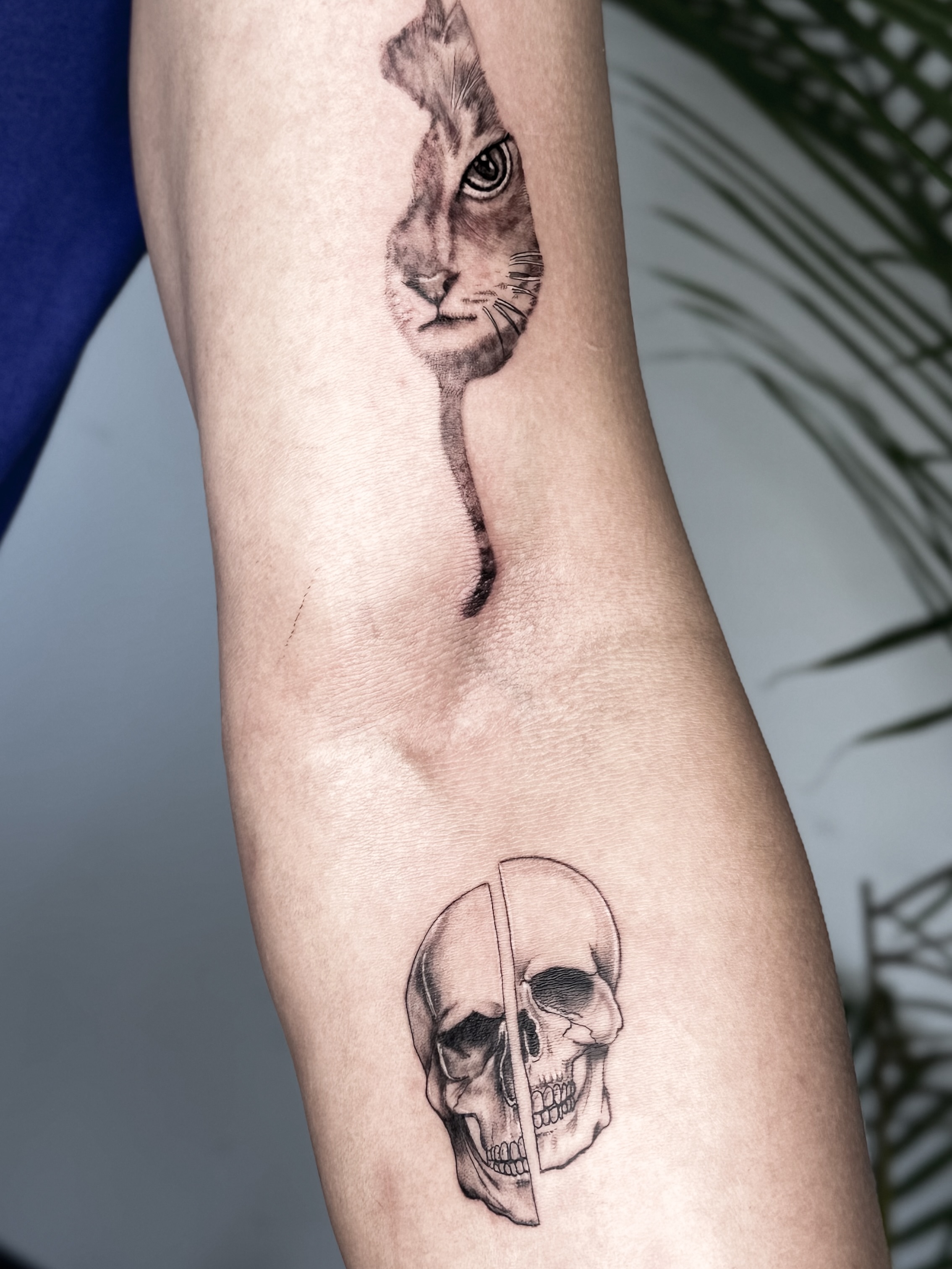 Cat and skull realism tattoo on the forearm by Tatuajes Denver