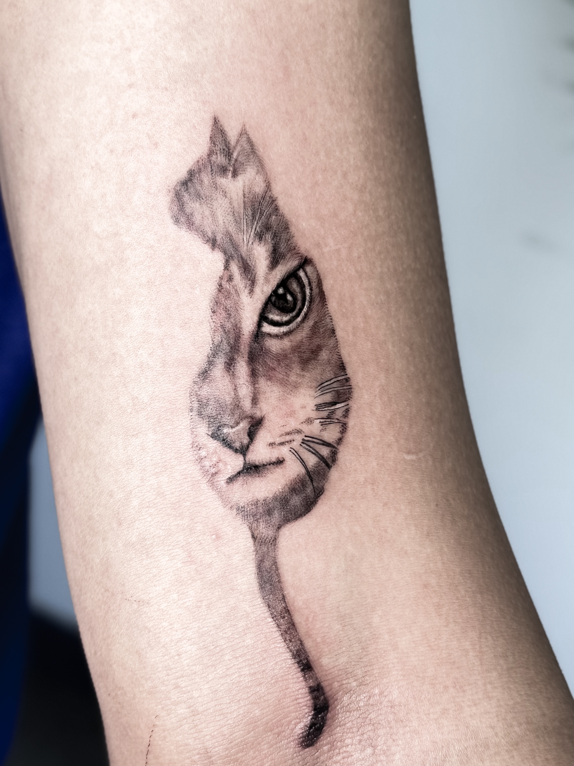 Cat realism tattoo on the forearm by Tatuajes Denver