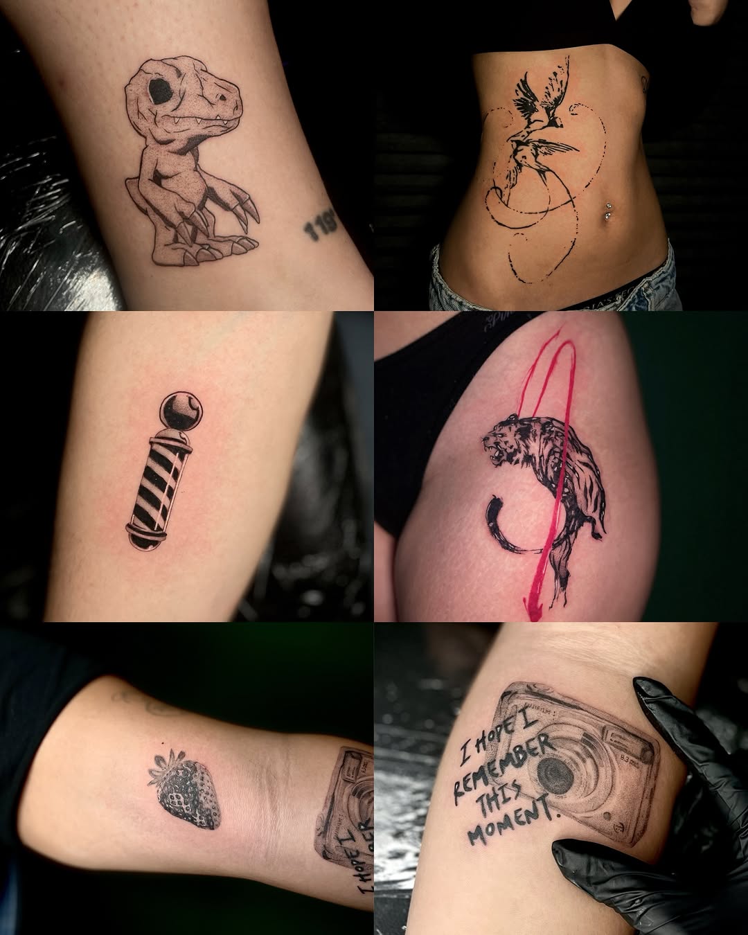Dinosaur watercolor tattoo on the forearm by clarissa