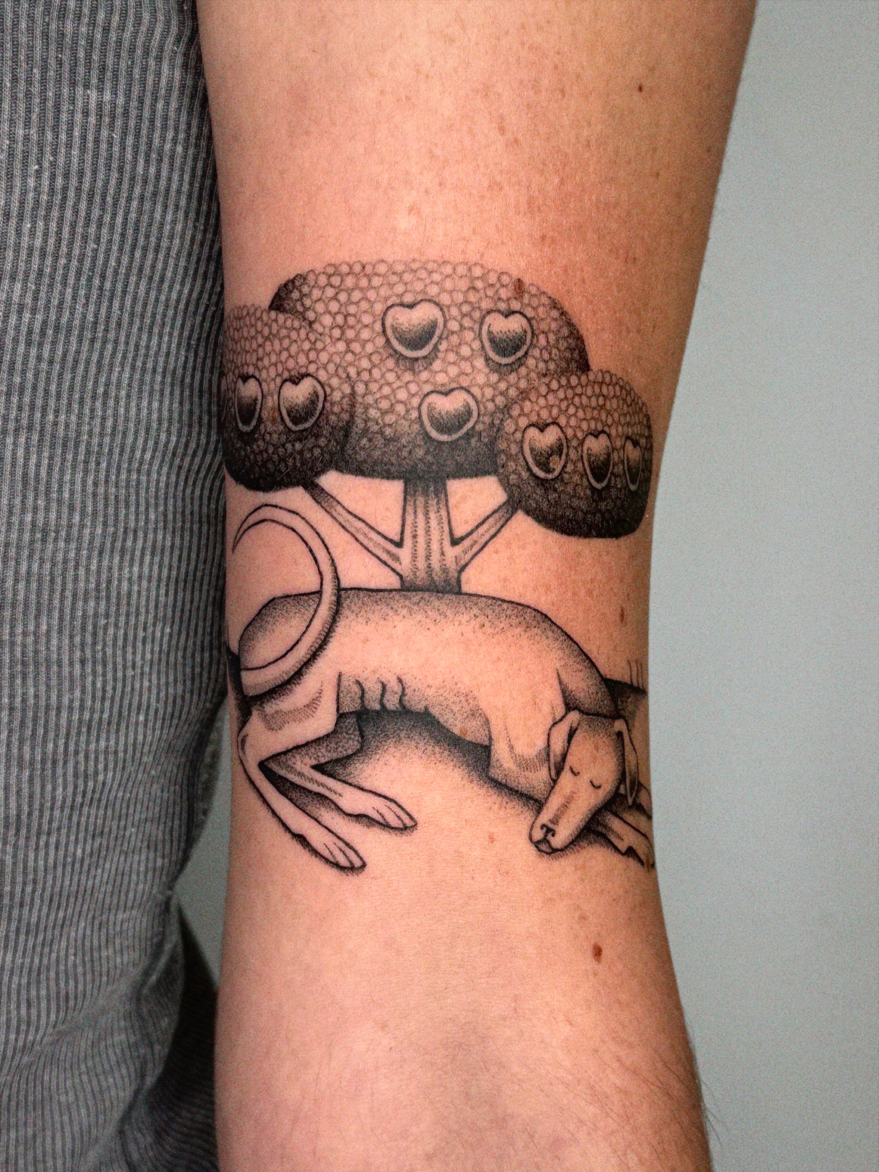 Dog and mushroom dotwork tattoo on the forearm by @inkshame