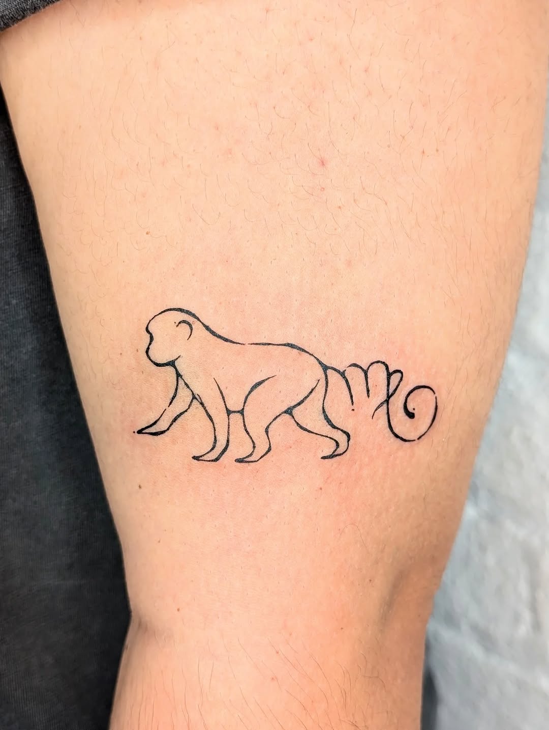 Tattoo by @milagujastattoo — fine_line, minimalist