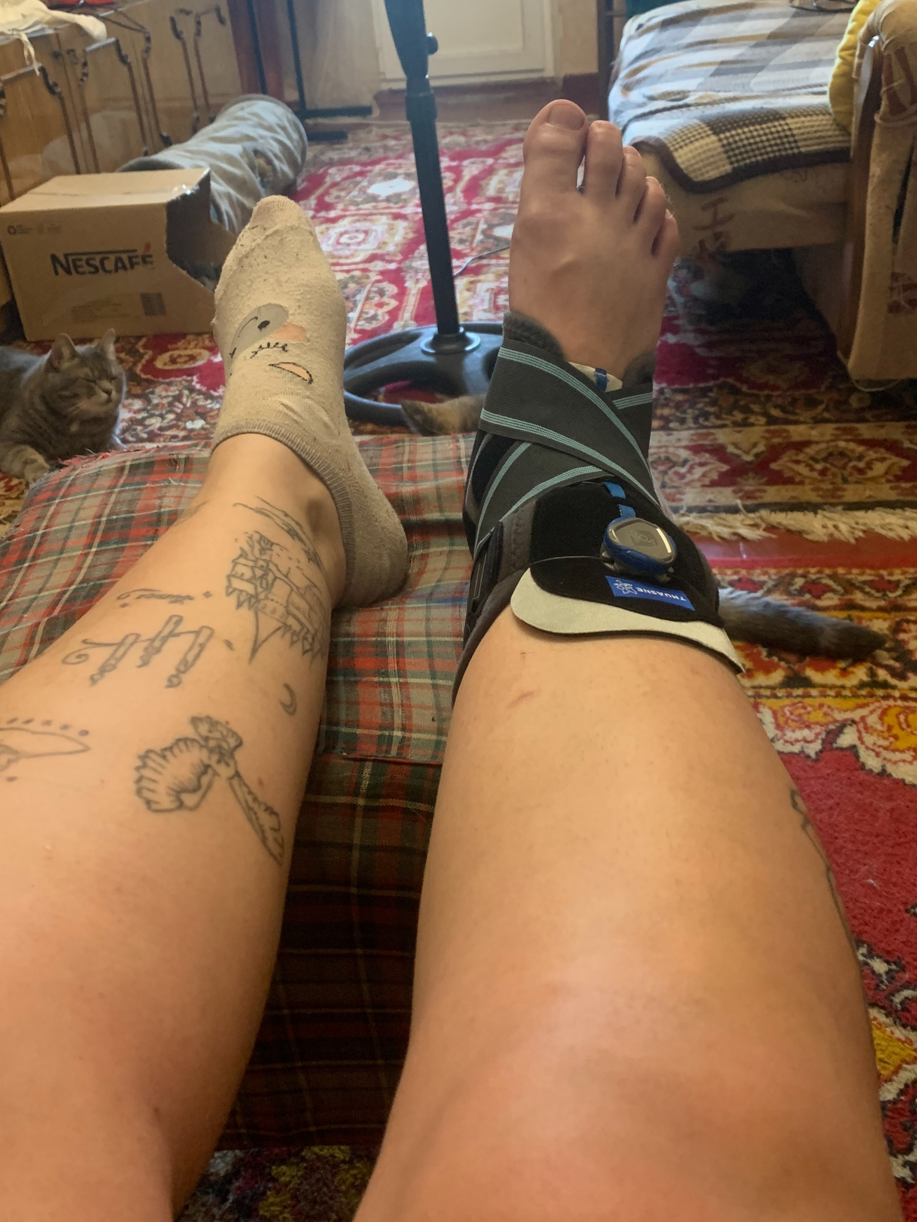 Tattoo by @_cats_and_tatts_ — american_traditional