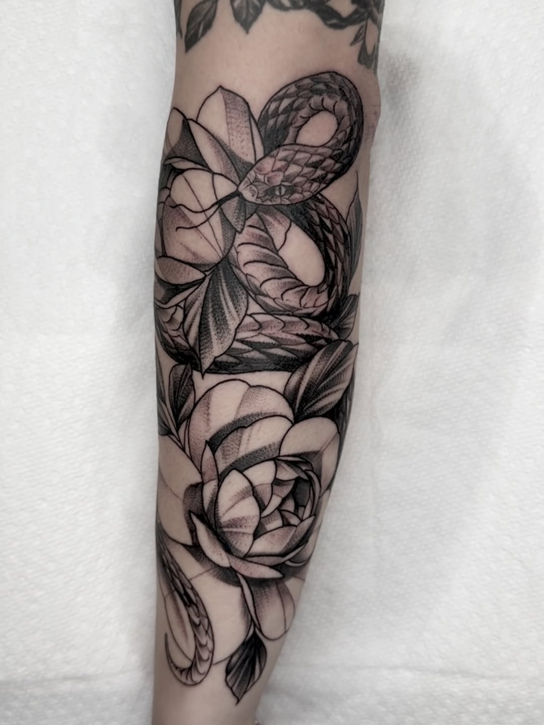 Tattoo by @mattoo33 — black_and_grey, dotwork