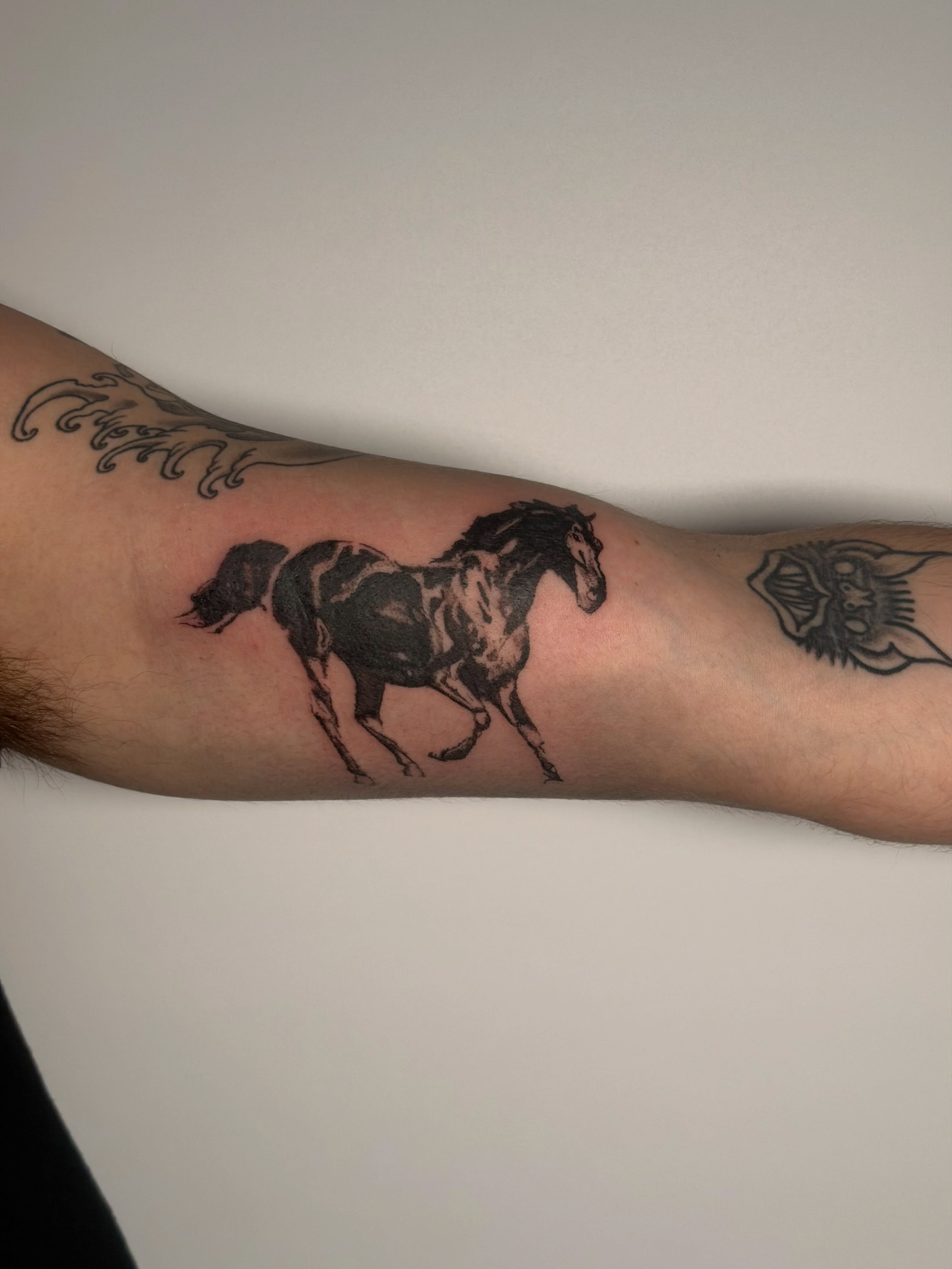 Galloping horse black and grey tattoo on the forearm by Alaska