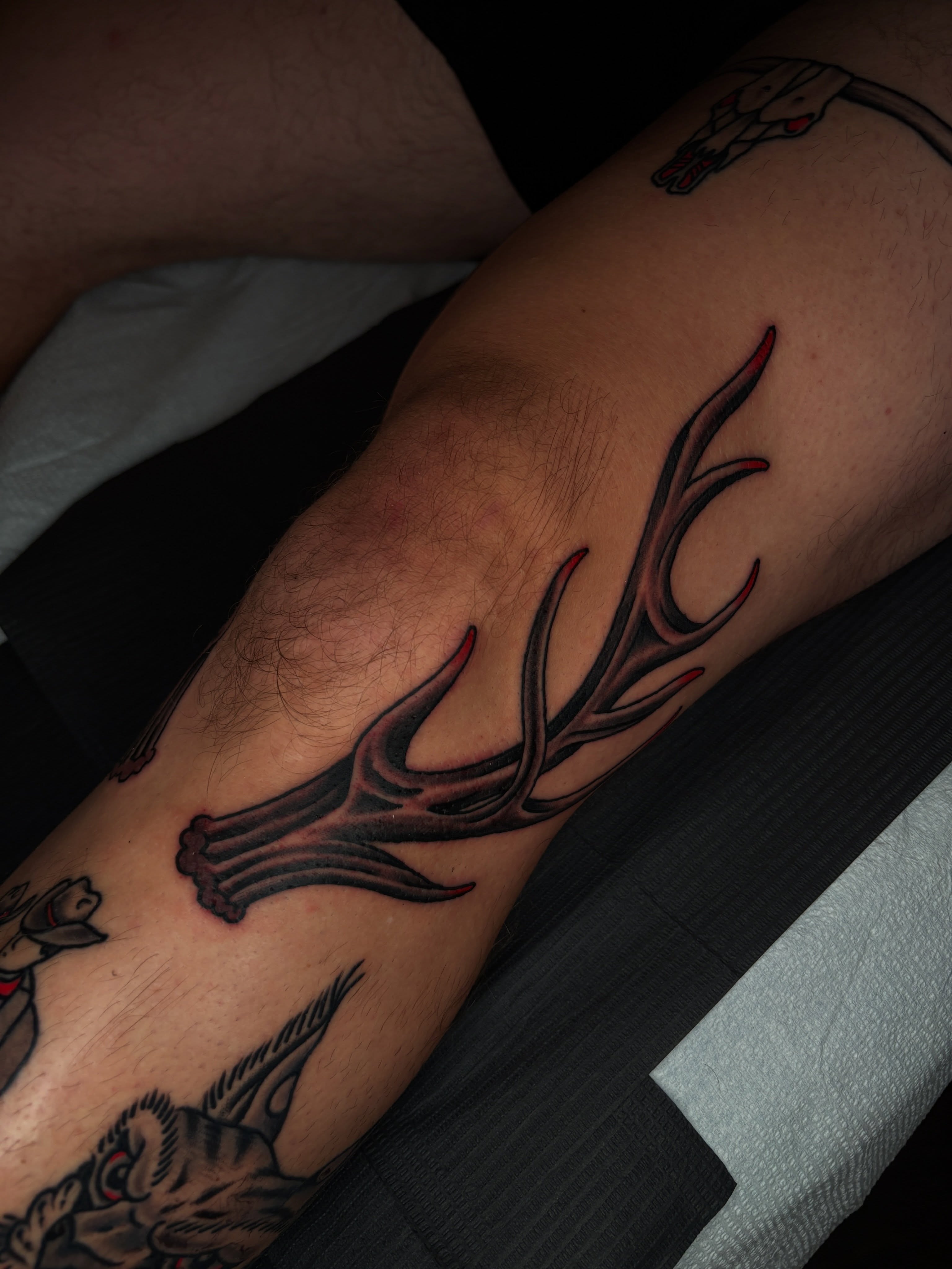 Antlers American traditional tattoo on the forearm by Max Klapp, Austin, Texas