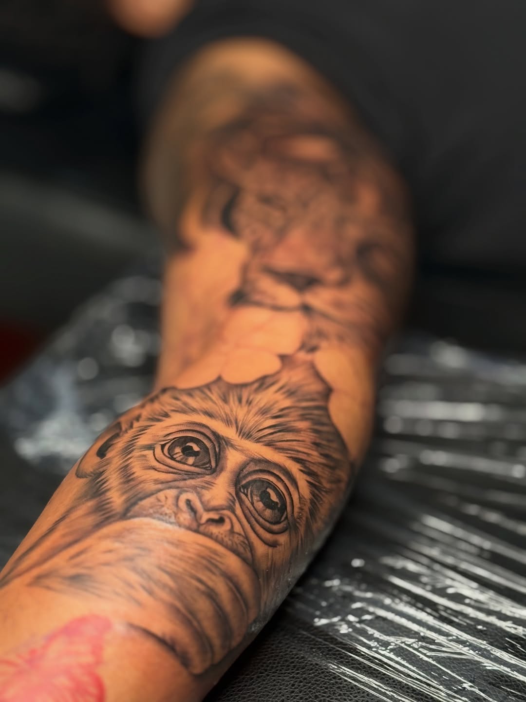 Tattoo by @tattsbyjojo — realism, black_and_grey