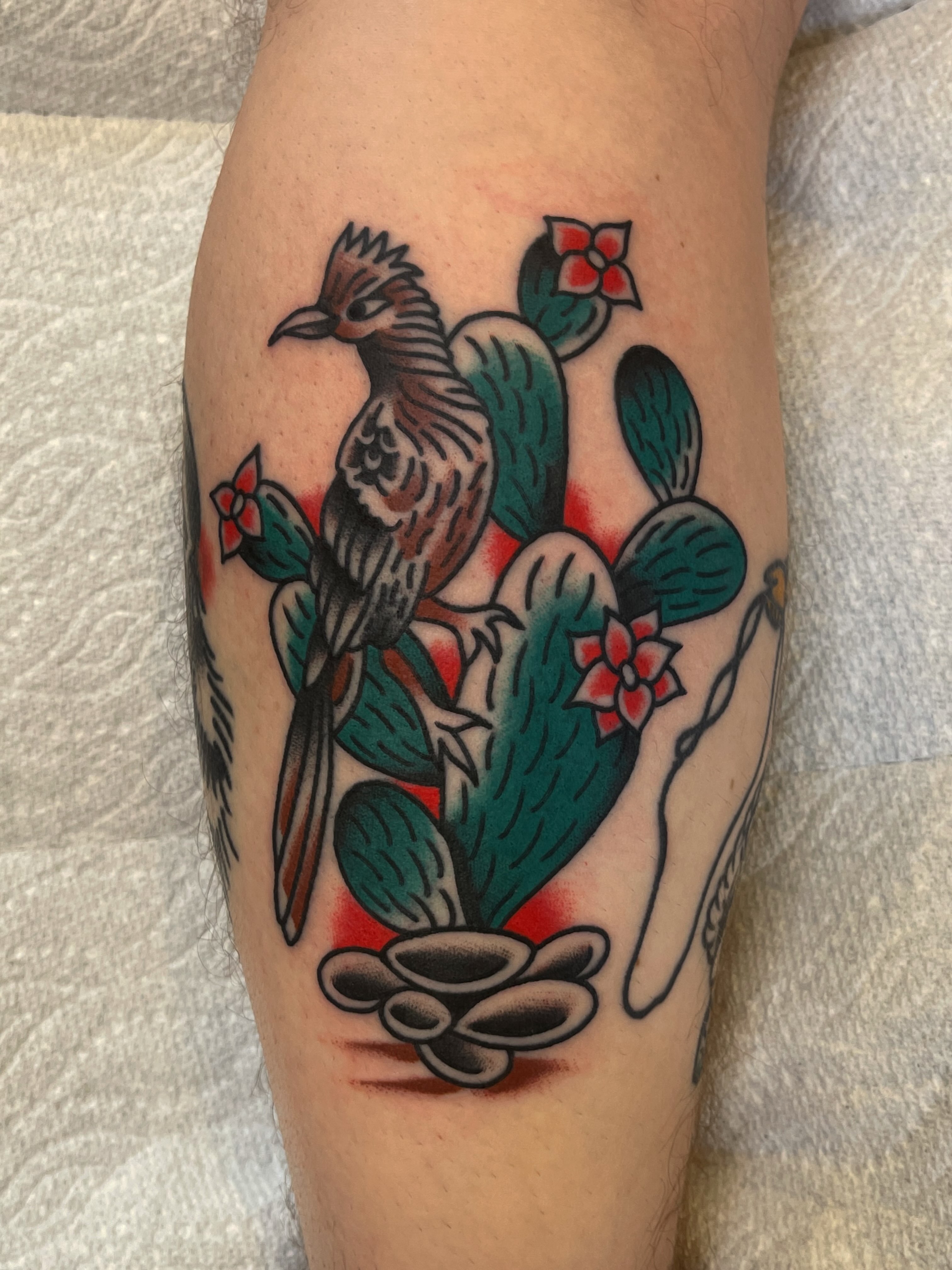 Bird and cactus American traditional tattoo on the forearm by Spencer Reisbeck