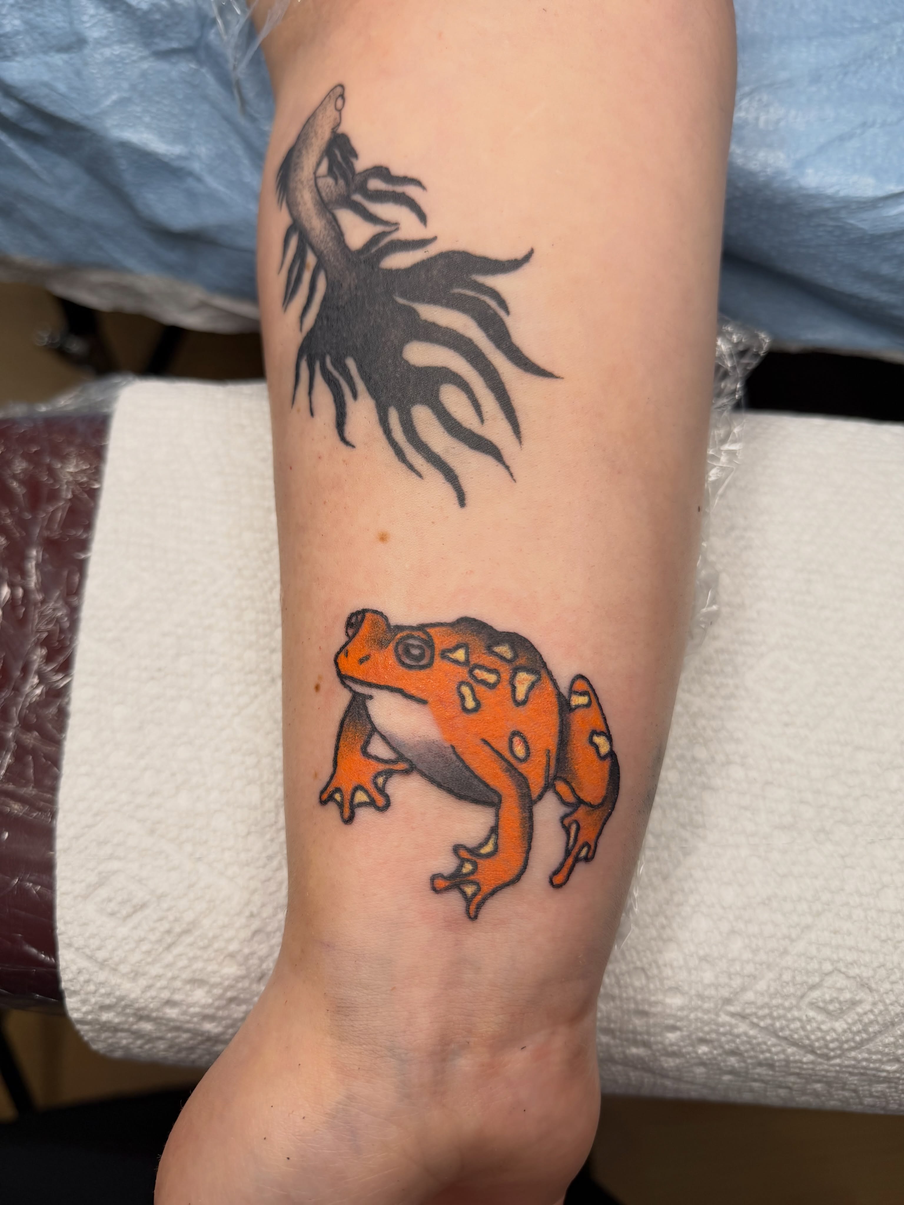 Frog realism tattoo on the forearm by Giana Masso