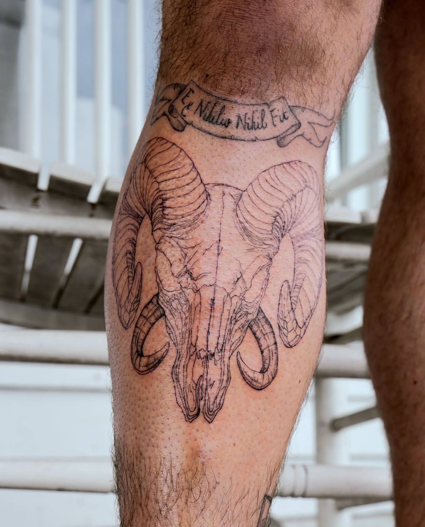 Ram skull black and grey tattoo on the forearm by Alex ▪︎ Tattoo Apprentice