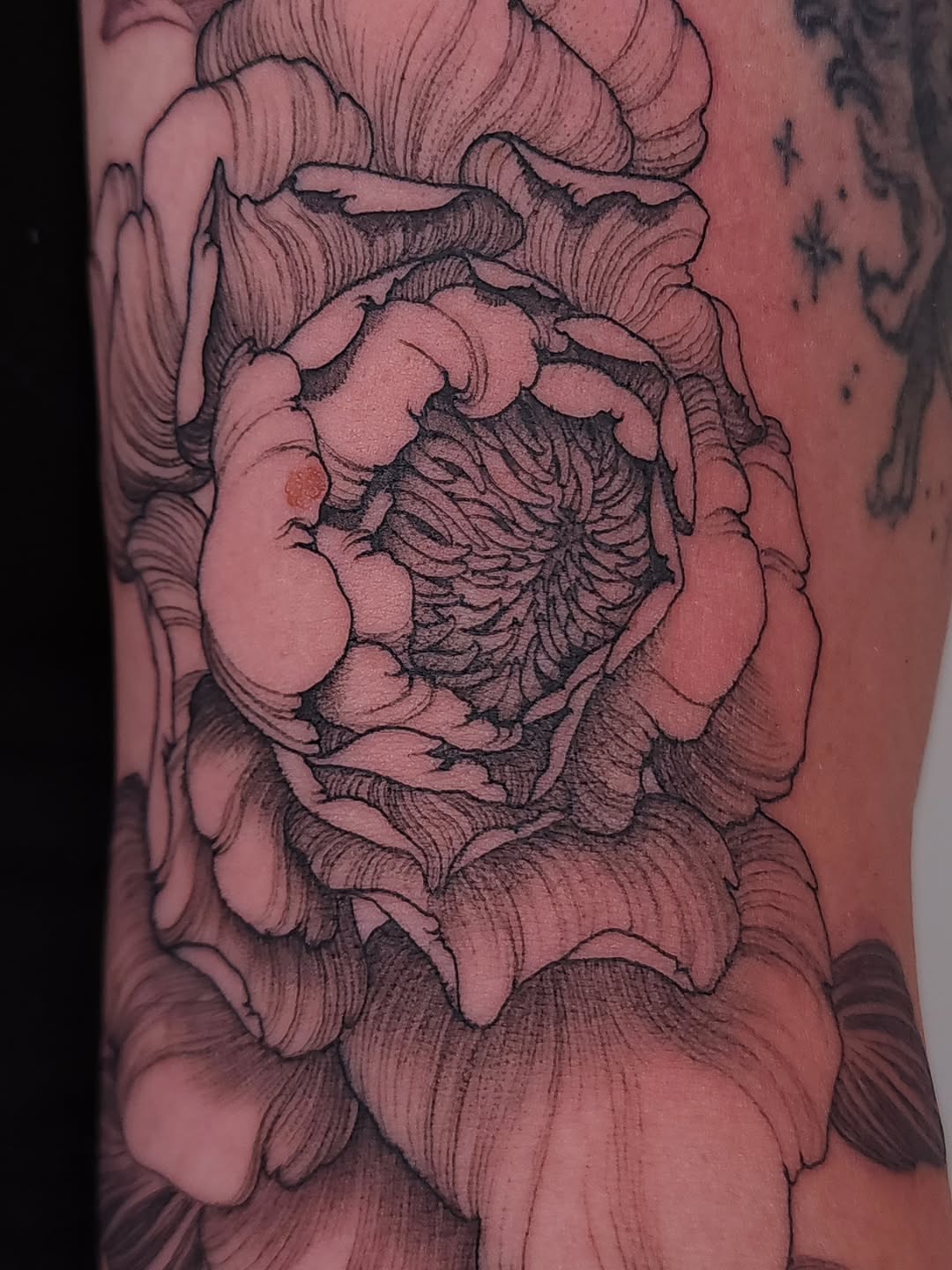 Tattoo by @hirentattoos โ black_and_grey, illustrative