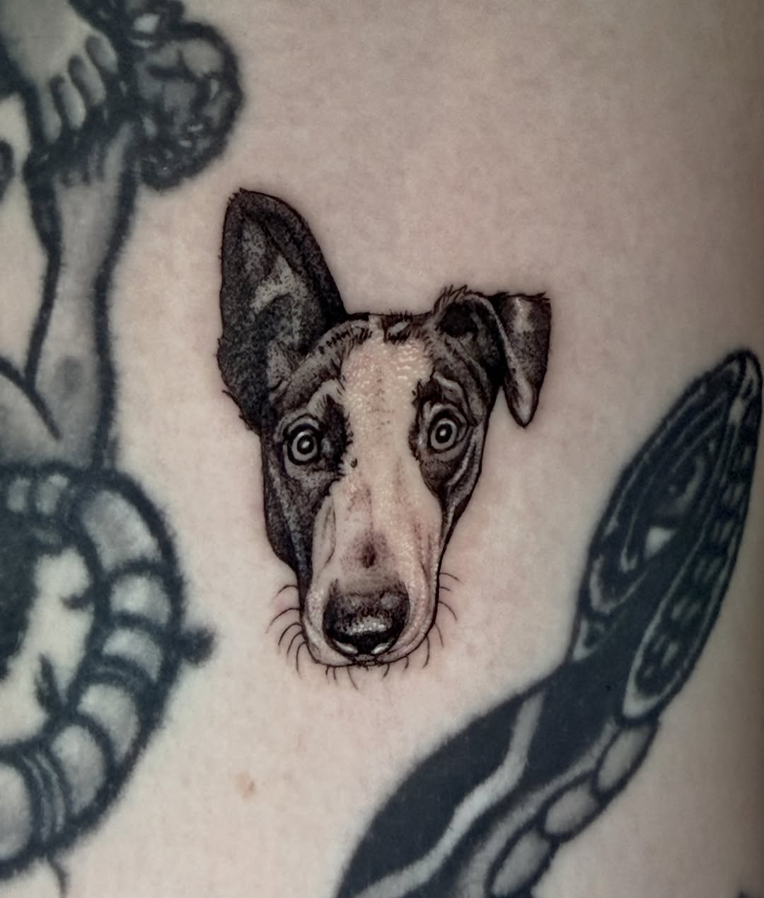Tattoo by @mccollumtattoo — realism, black_and_grey