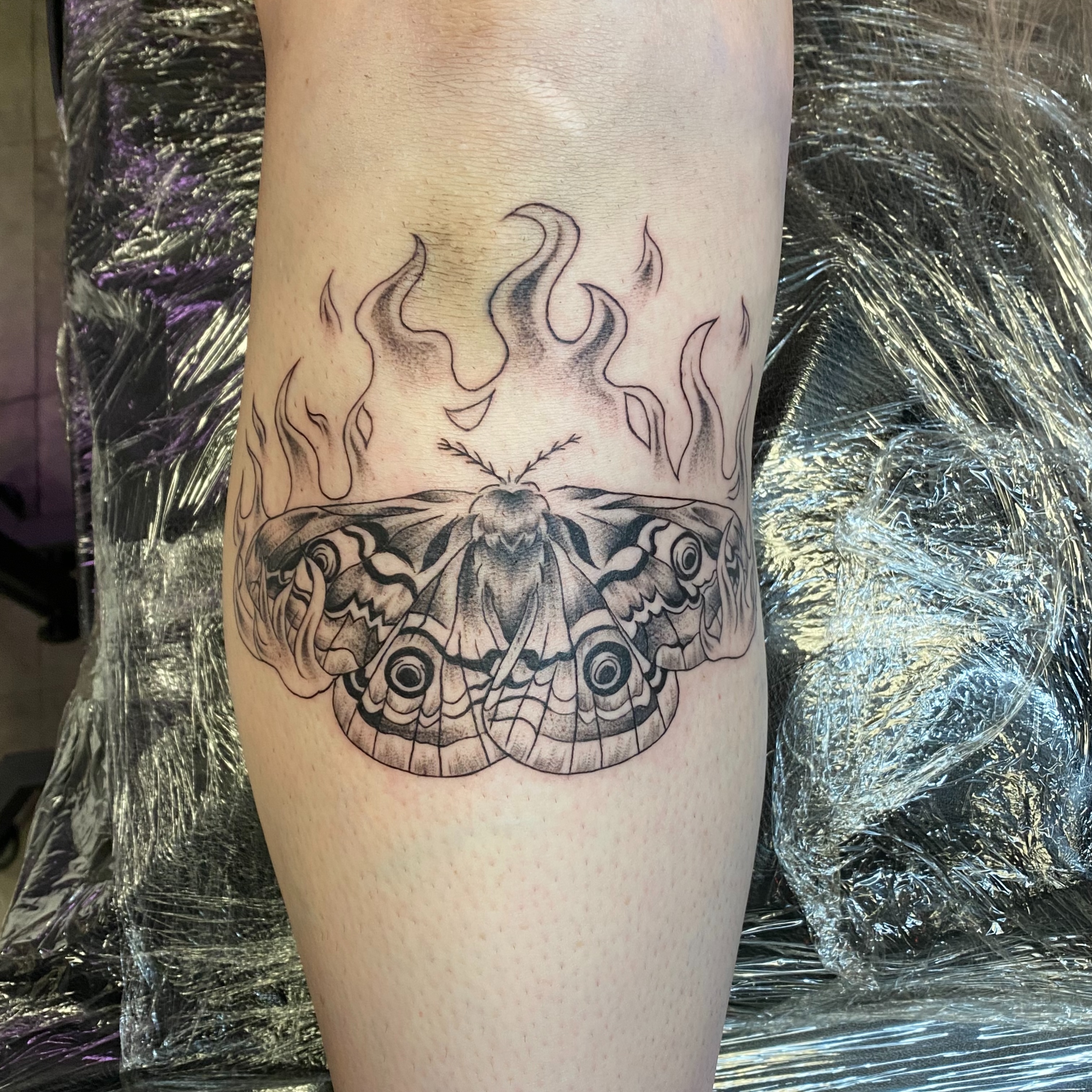 Moth black and grey tattoo on the forearm by Mack ๐ Utah Tattoos