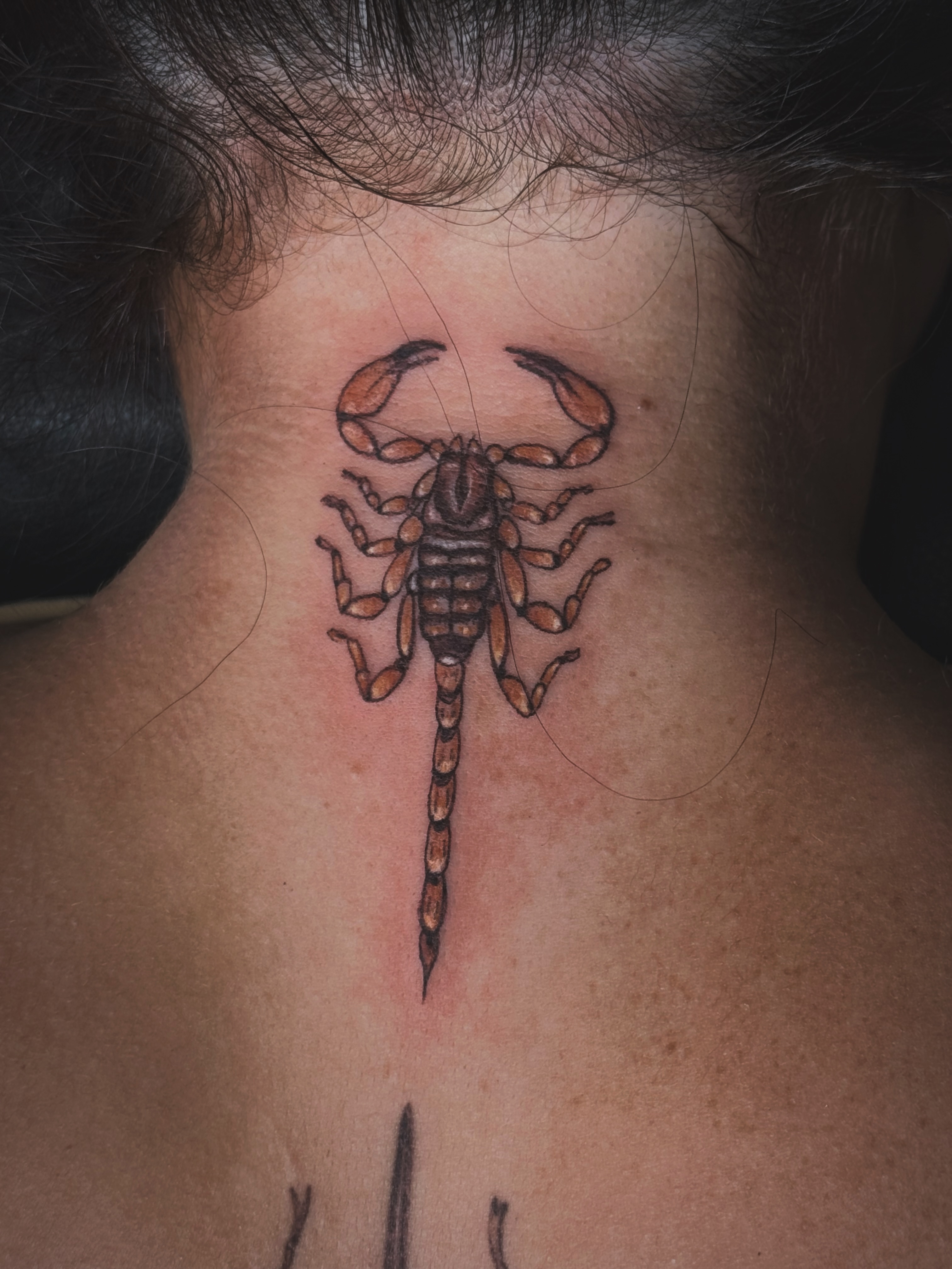 Scorpion realism tattoo on the neck by Kaylee Castleton, Tooele, Utah