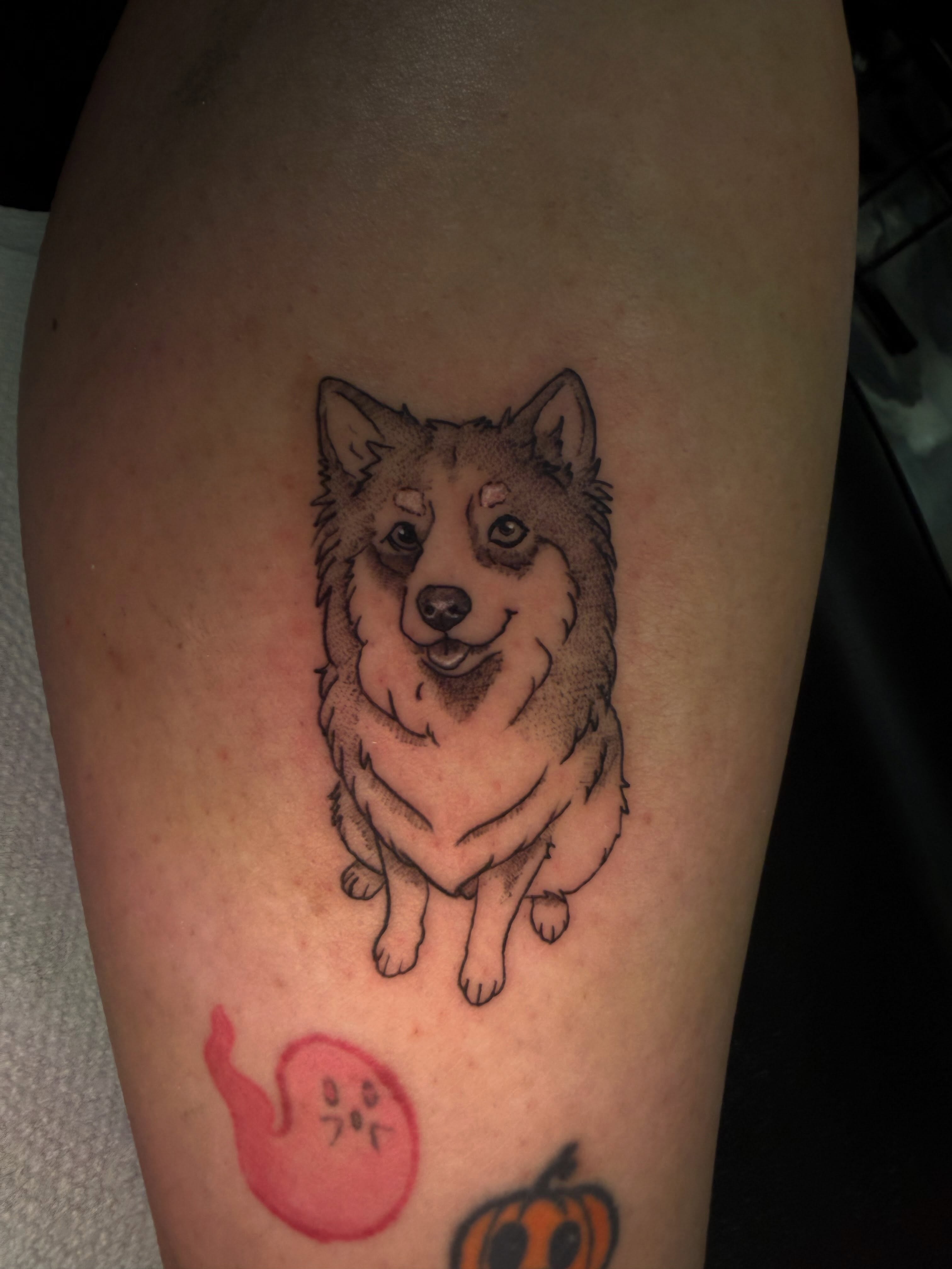 Husky realism tattoo on the forearm by 𝕸 𝖆 𝖓 𝖔 𝖑 𝖔