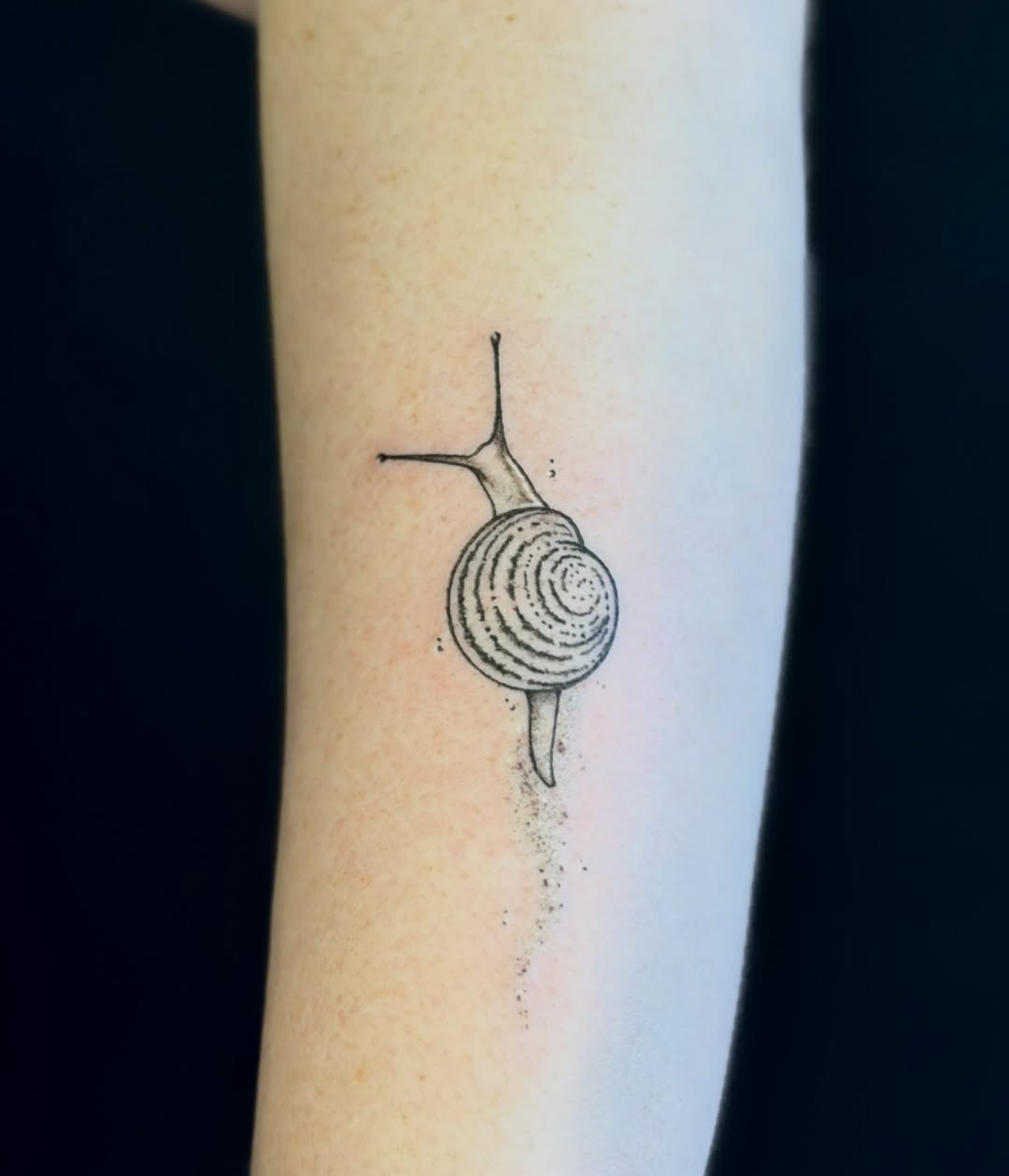 Snail fine line tattoo on the forearm by LooSid