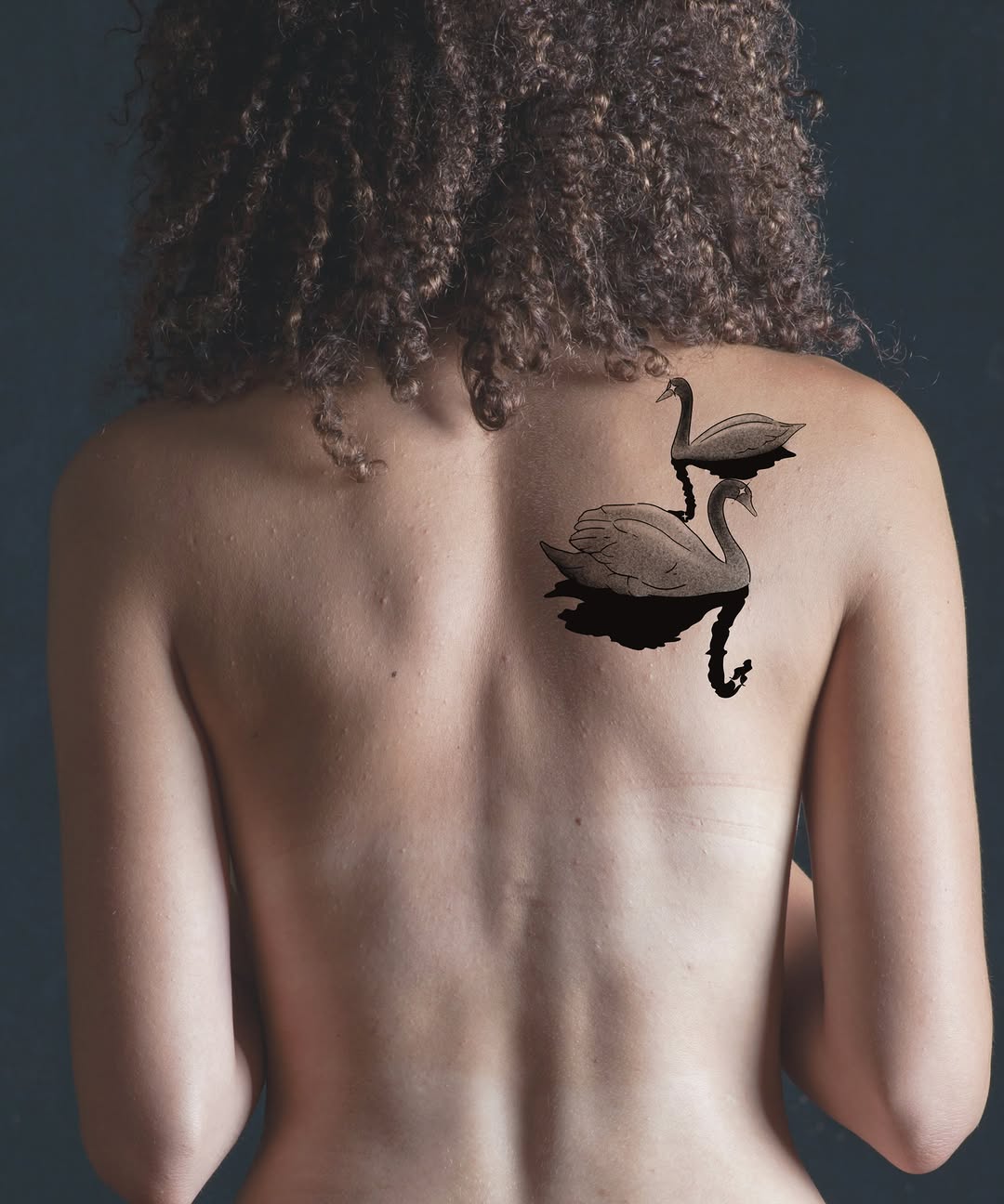 Swans black and grey tattoo on the back by Elana Hites