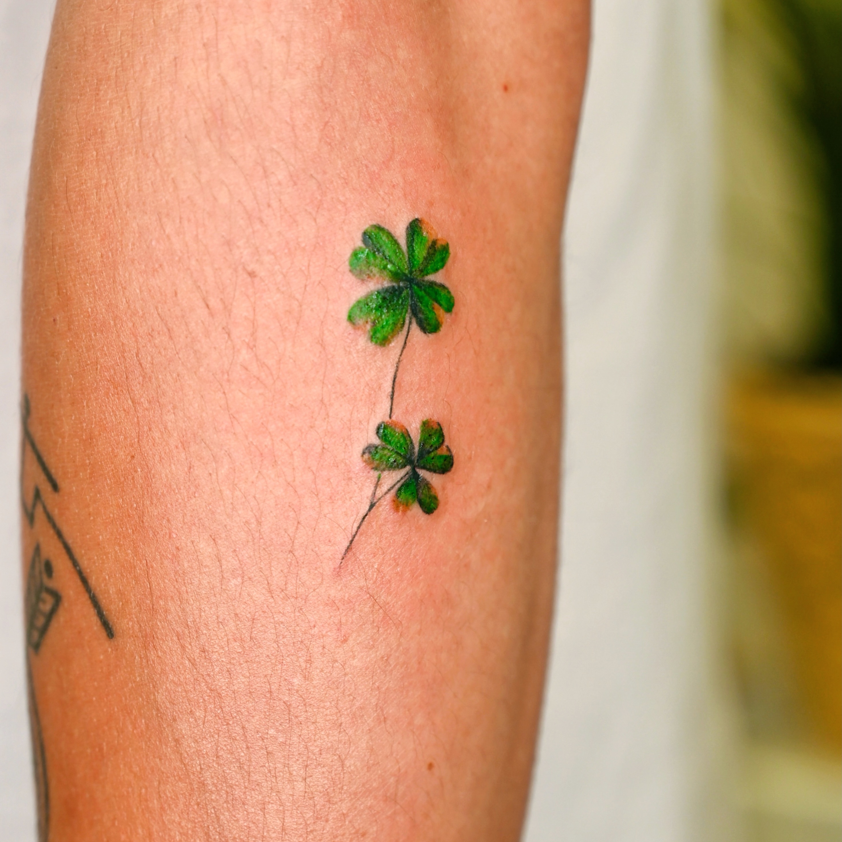 Tattoo by @tattooist_urban — dotwork