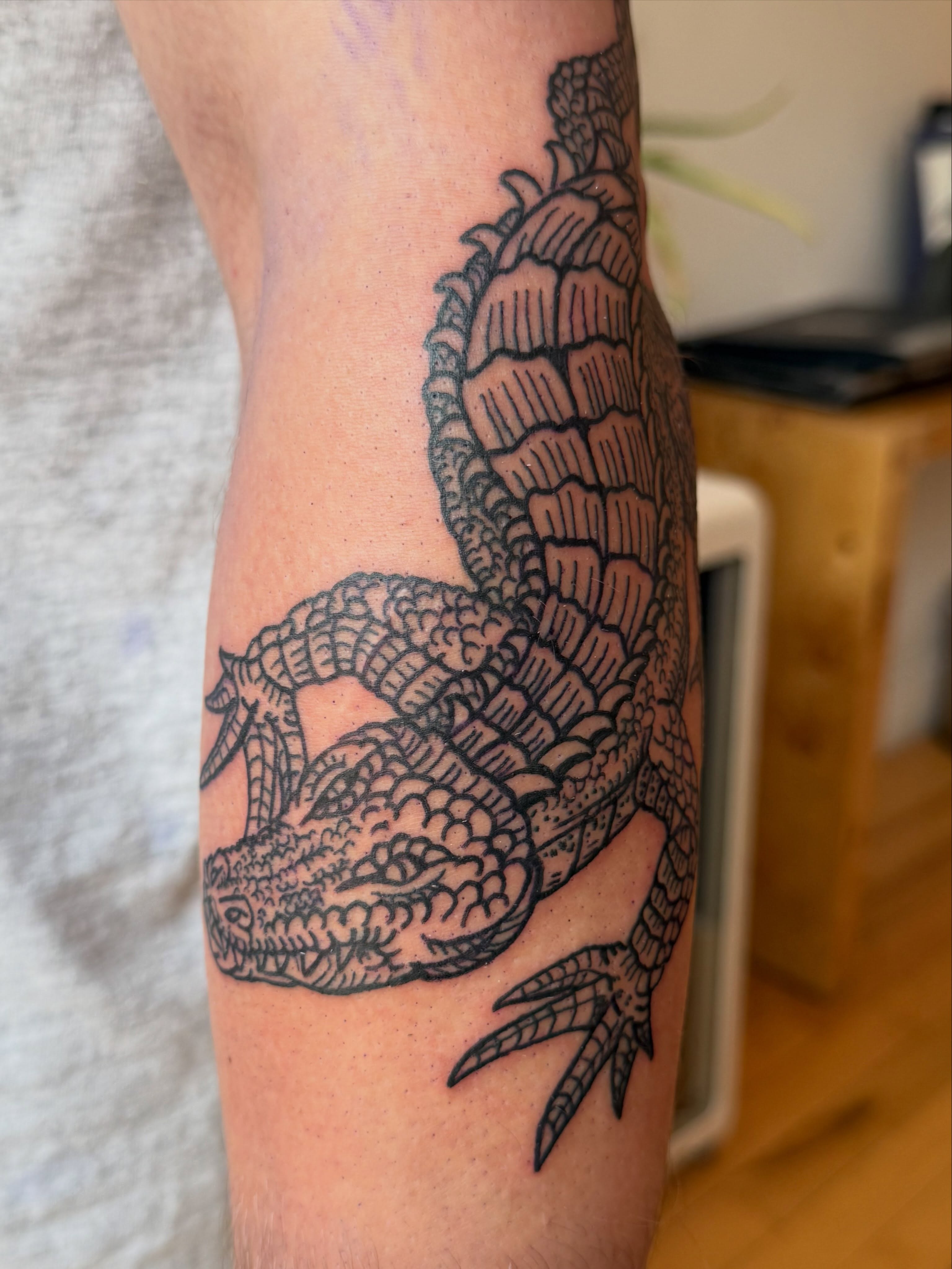 Alligator black and grey tattoo on the forearm by Eric Guntor, Philadelphia, Pennsylvania