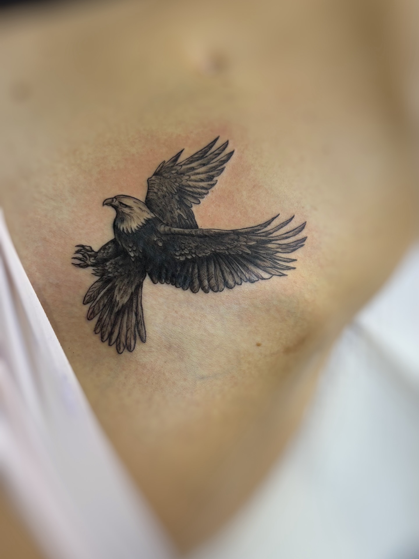 Raven black and grey tattoo on the chest by Art by Aimee