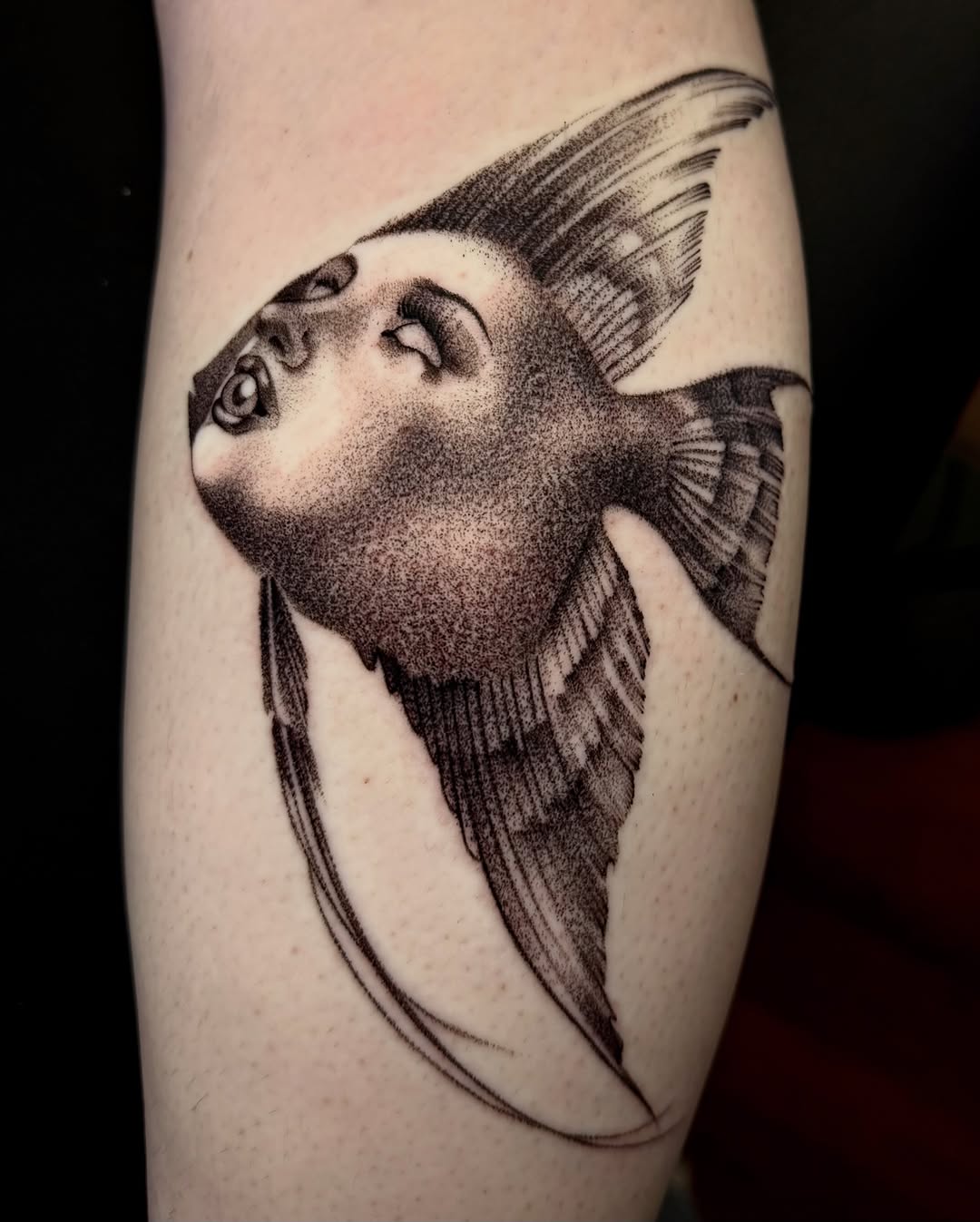 Tattoo by @mad_s_ink — dotwork, black_and_grey