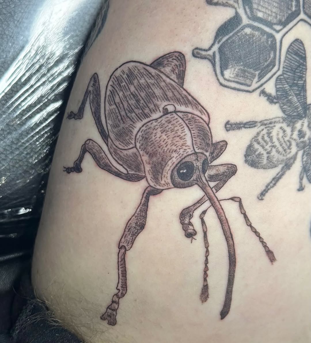 Tattoo by @needlecakeinc — illustrative, black_and_grey