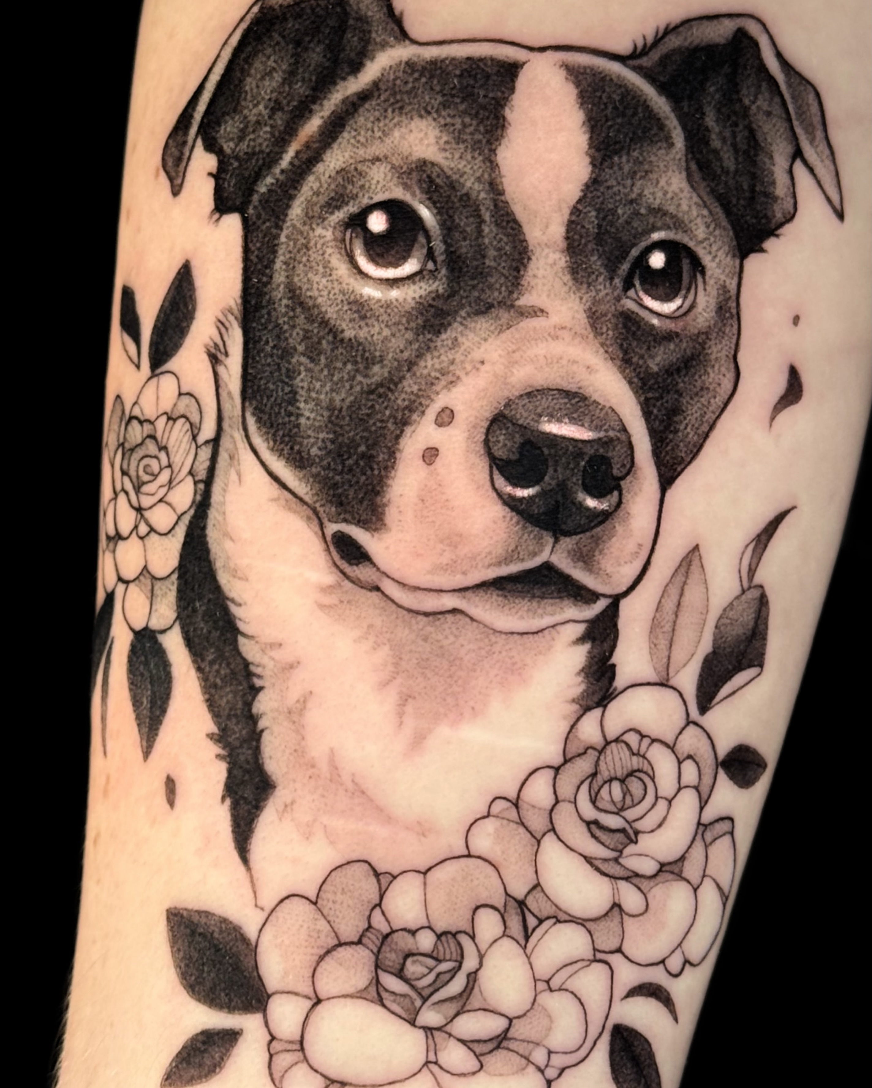 Pitbull with flowers realism tattoo on the forearm by Yasemin πΉπ·π¬π§ San Jose based tattoo artist