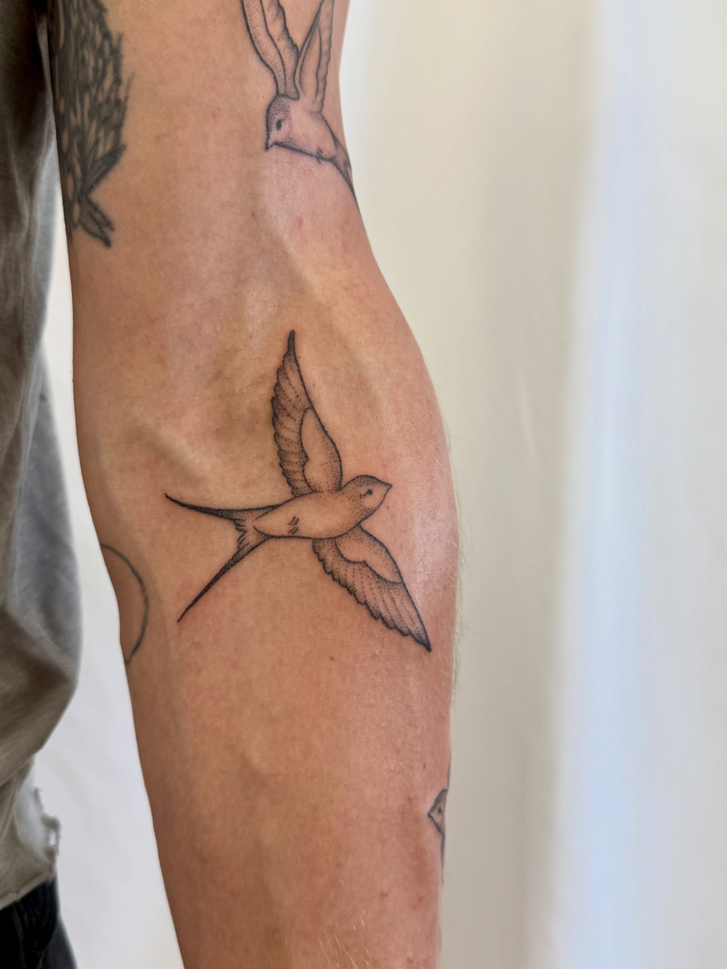 Swallow black and grey tattoo on the forearm by Melia Mariko