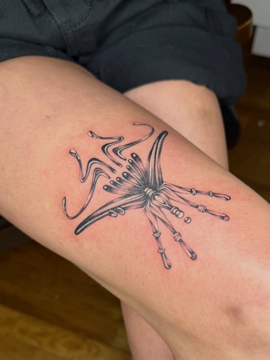 Abstract insect-like creature blackwork tattoo on the forearm by Lauren ๐