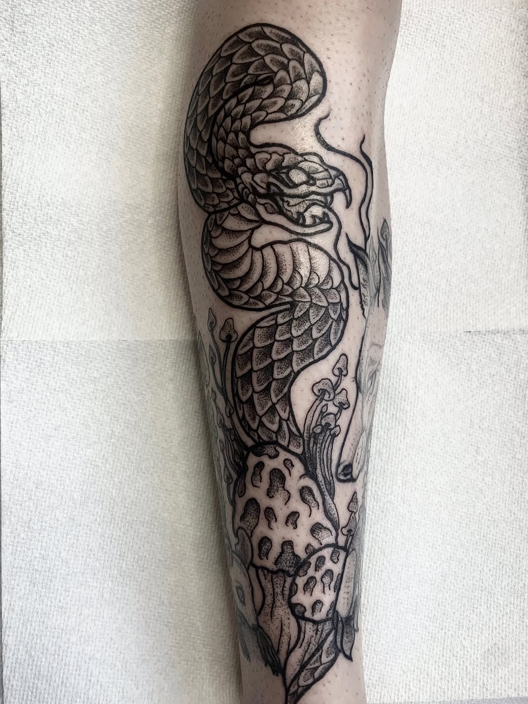 Snake and mushrooms dotwork tattoo on the forearm by Nashville Tattoo Artist