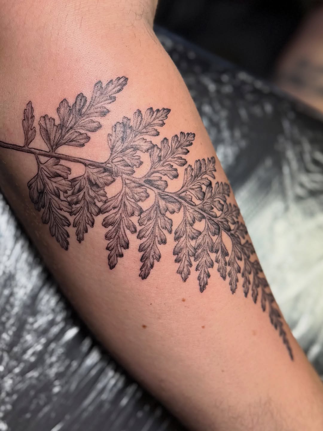 Tattoo by @coreychav.tattoos β black_and_grey, realism