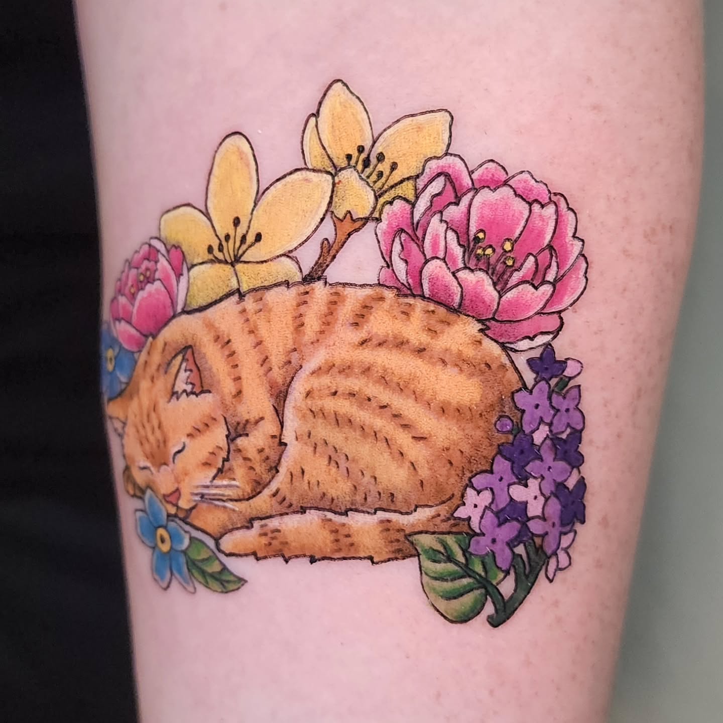 Cat and flowers new school tattoo on the forearm by Lindsey Andrew, Englewood, Colorado