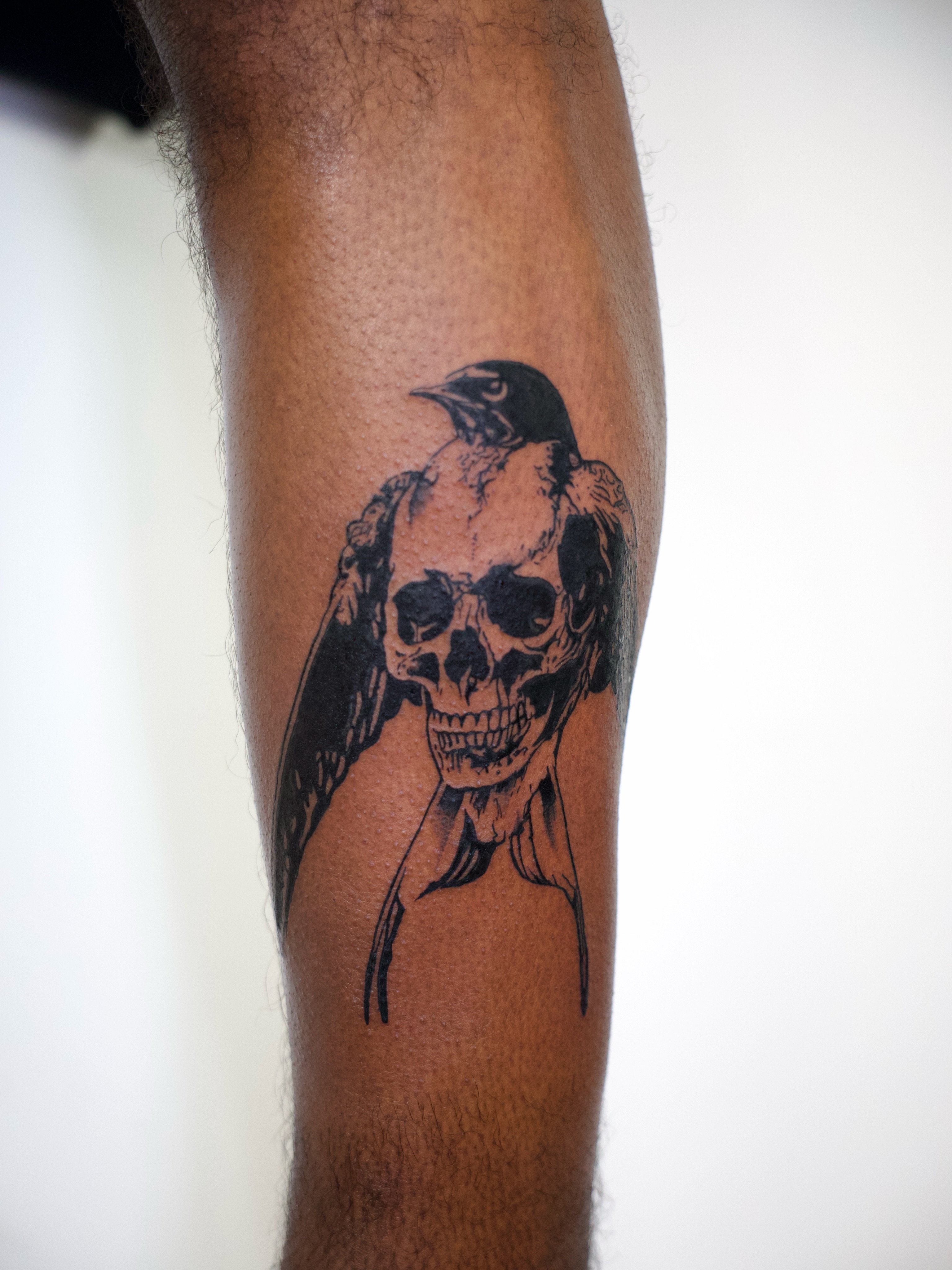 Skull and bird black and grey tattoo on the forearm by @lovechasetattoo