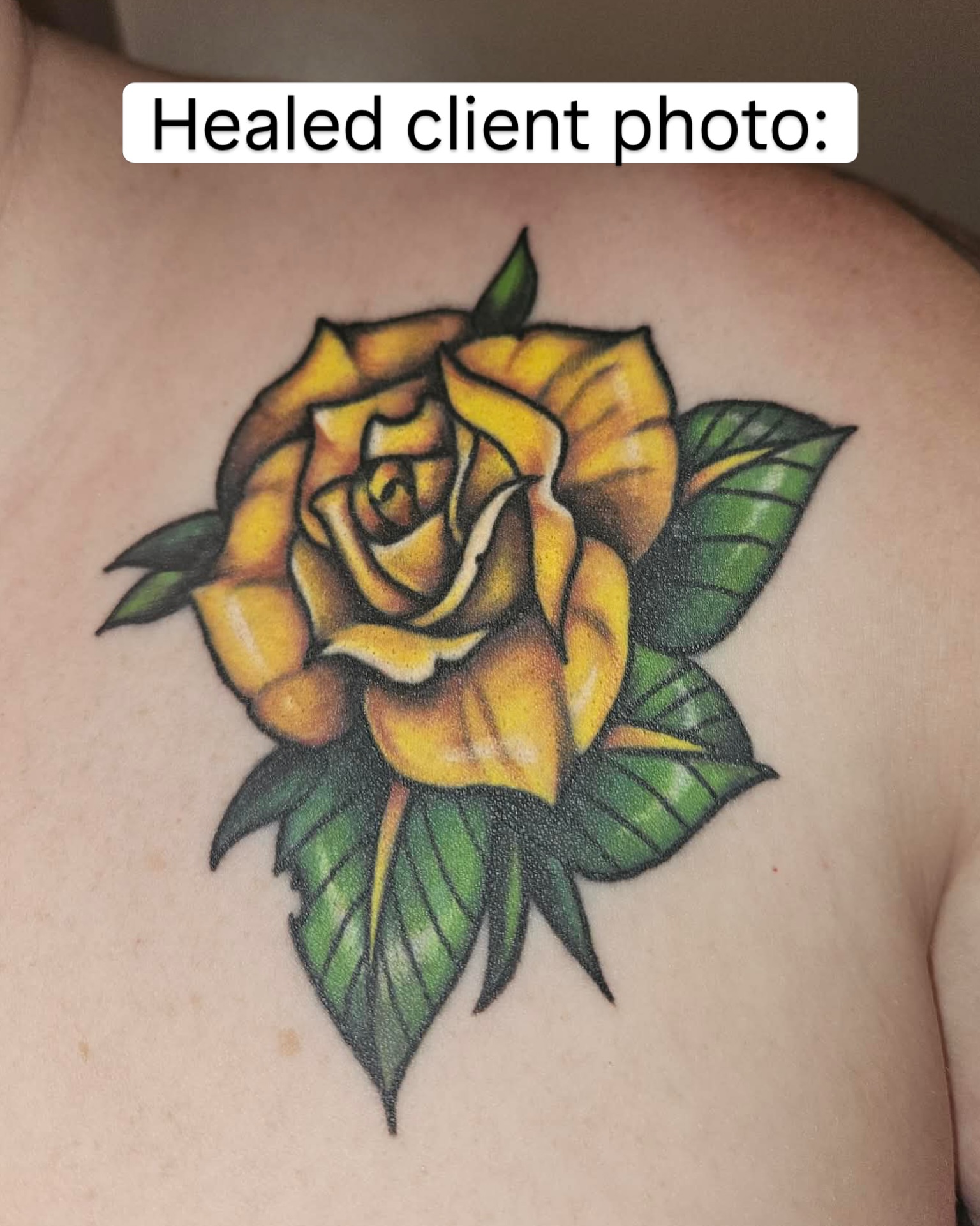 Yellow rose American traditional tattoo on the chest by bri allura ✿ tattoo artist  ✿ cleveland, oh
