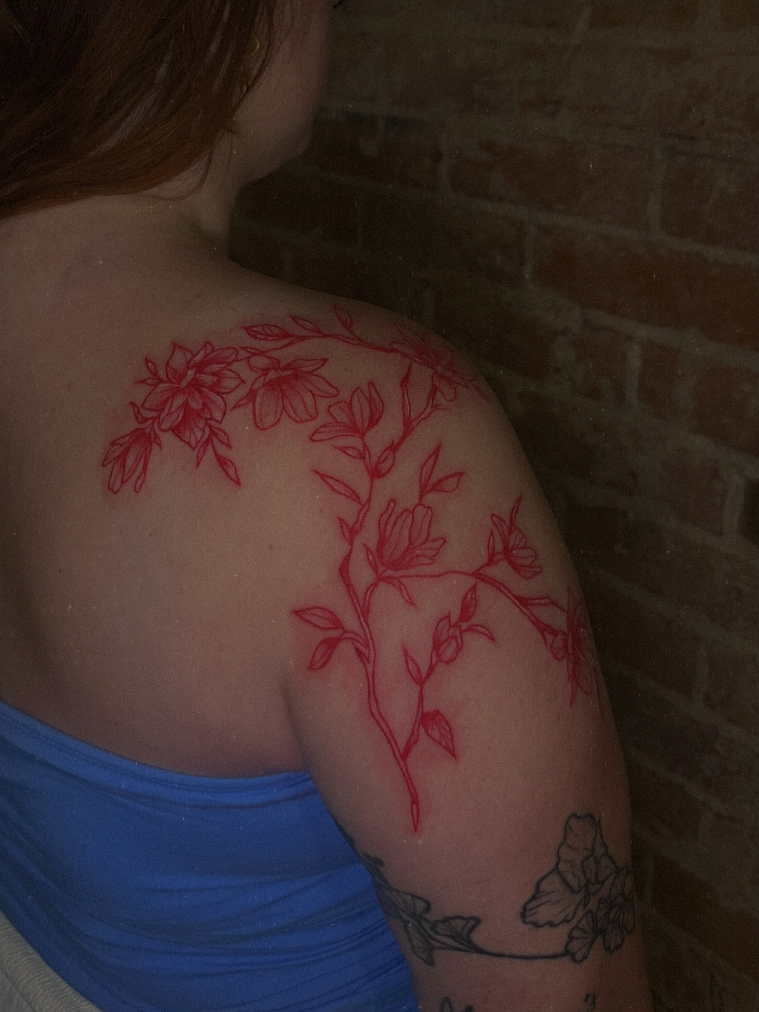 Flower branch fine line tattoo on the shoulder by E L I Z A H B e T H H D e S I G N S