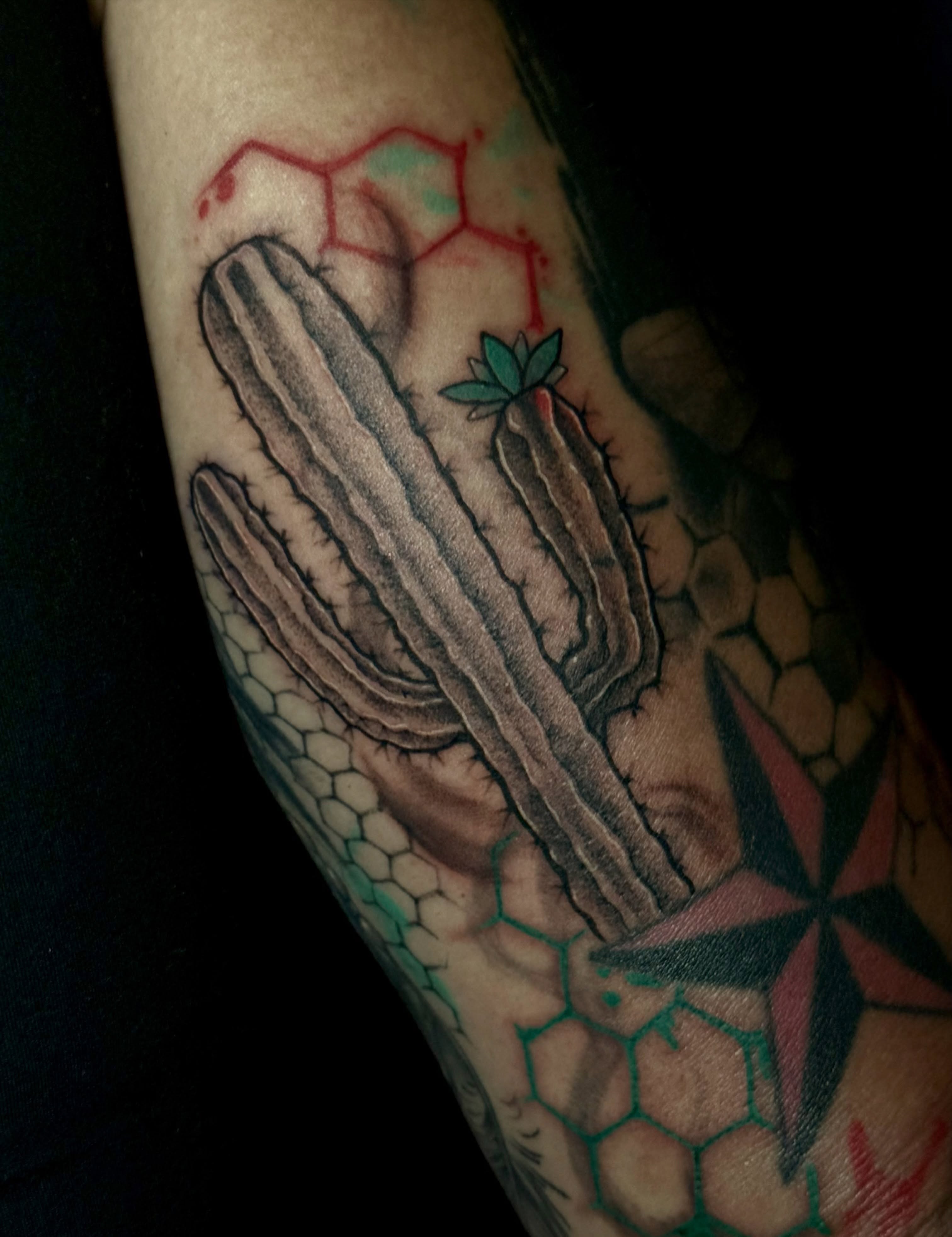 Cactus realism tattoo on the forearm by Exploitedtattoos