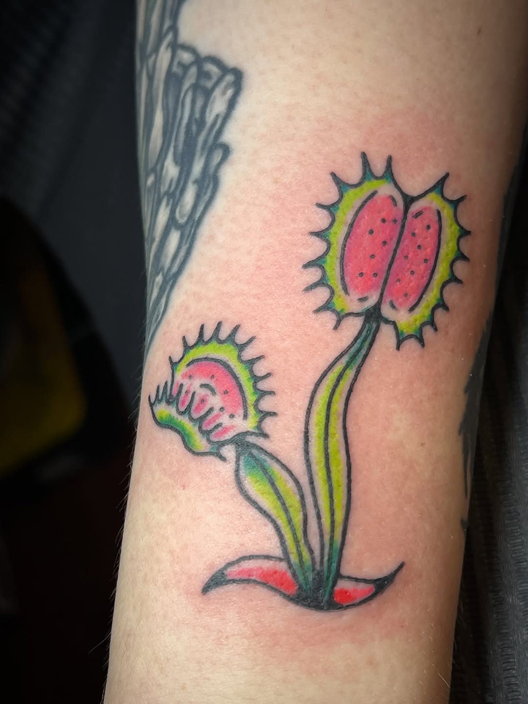 Tattoo by @straydoggiestyle — american_traditional